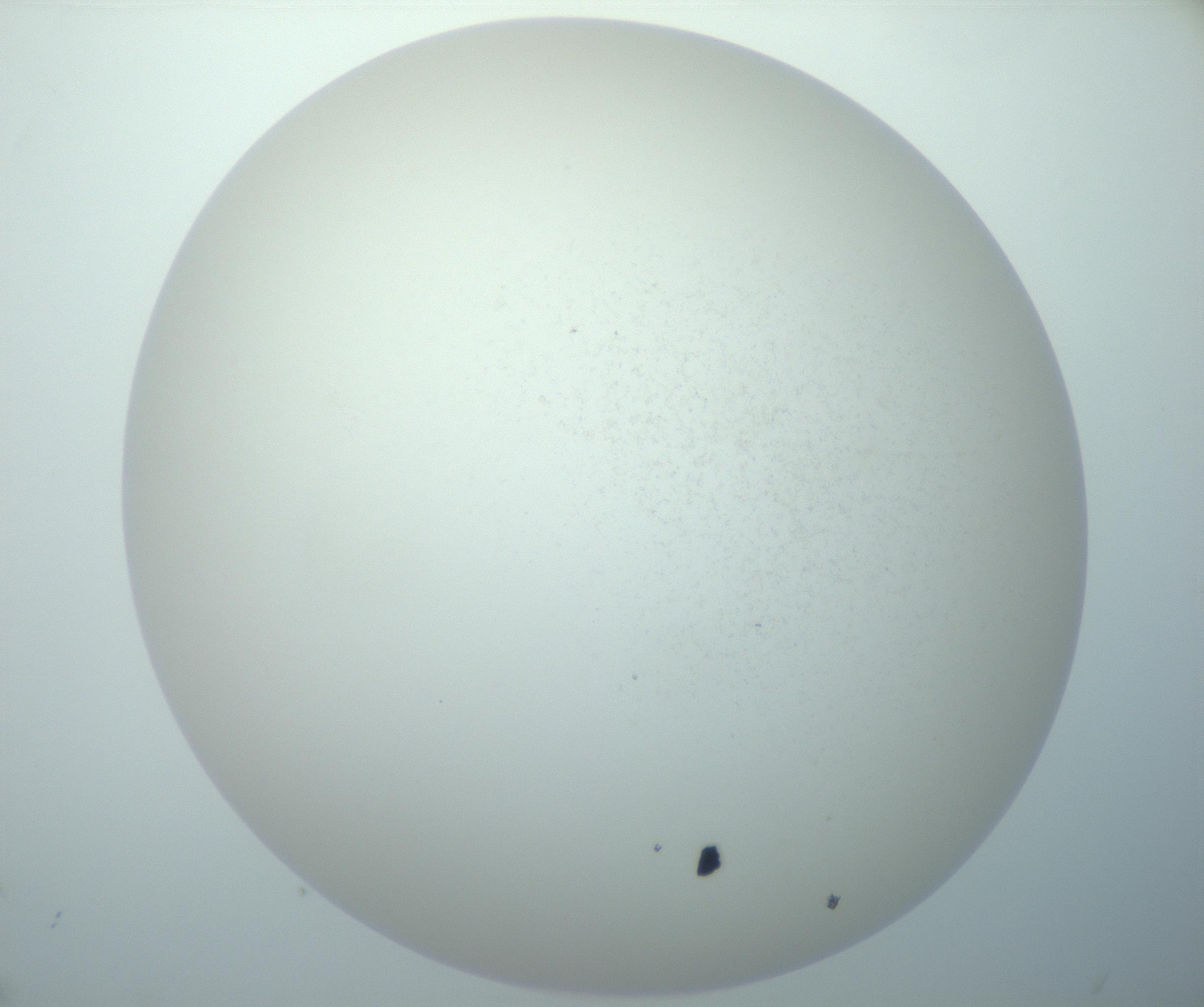 RI01_03_000_0212_Proj1_Clon1_MC_0000MC103014_003_161122_12_06_02_00_99_002_001_RAI.jpg