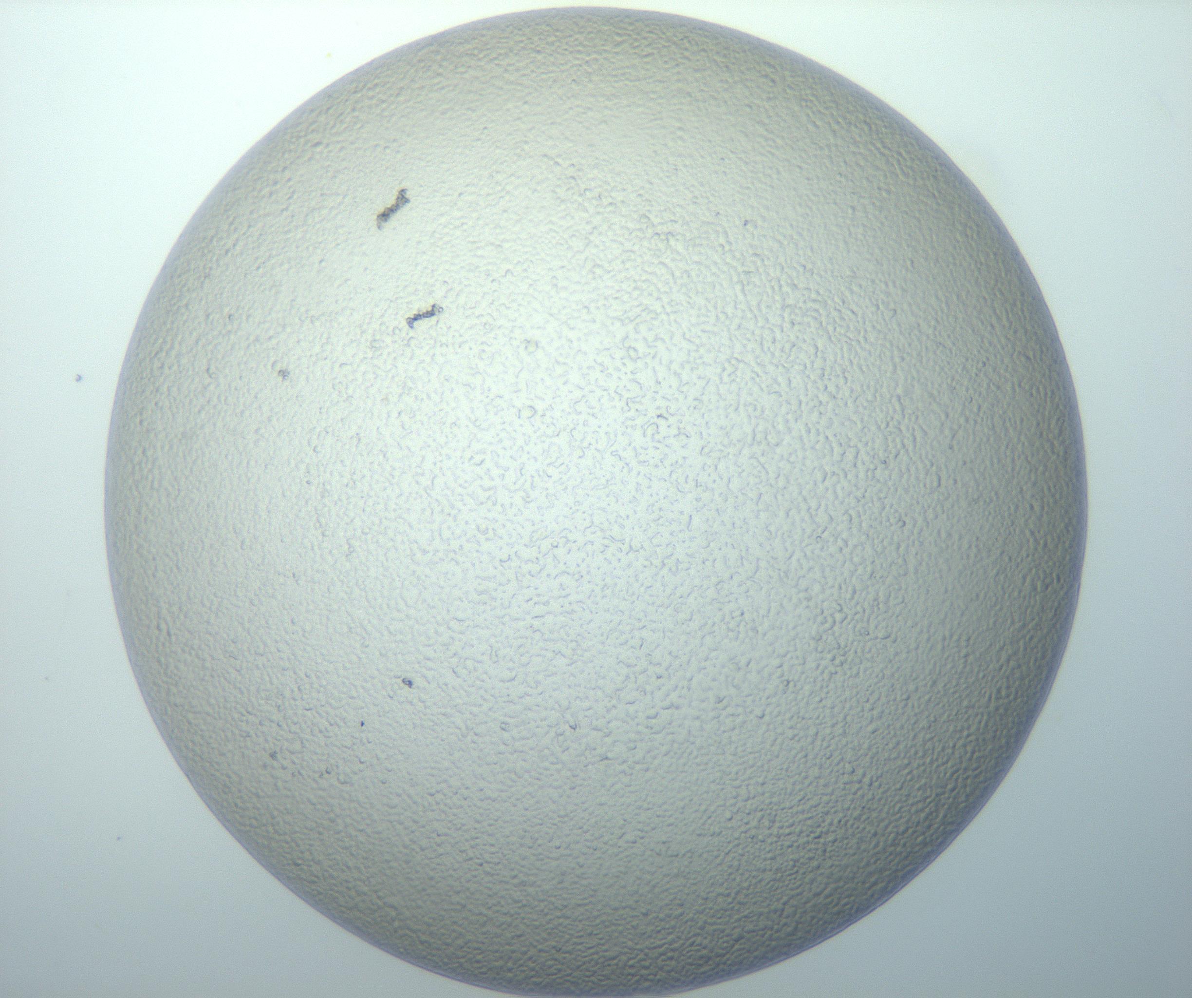 RI01_03_000_0212_Proj1_Clon1_MC_0000MC103014_003_161122_12_07_01_00_99_002_001_RAI.jpg