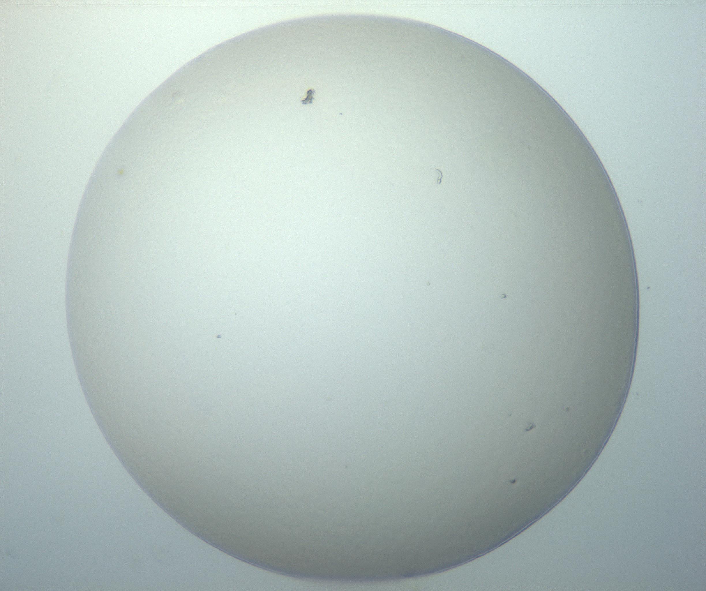 RI01_03_000_0212_Proj1_Clon1_MC_0000MC103014_003_161122_12_08_01_00_99_002_001_RAI.jpg