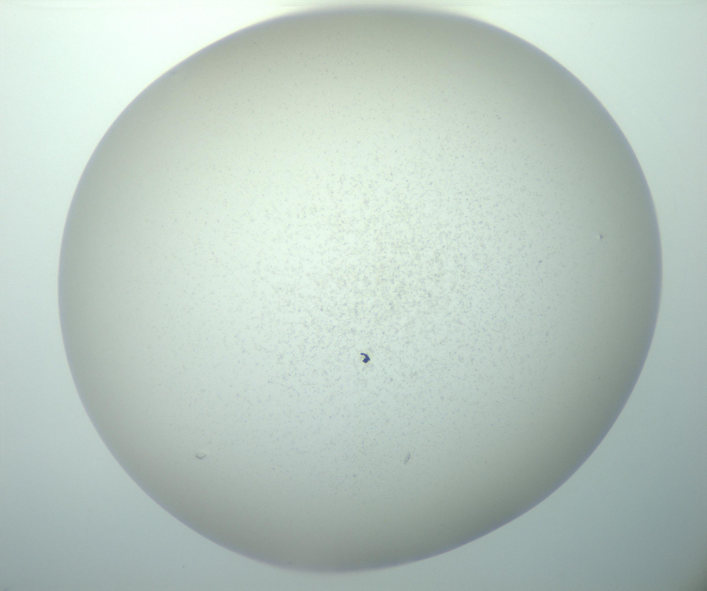 RI01_03_000_0212_Proj1_Clon1_MC_0000MC103015_002_161120_01_01_02_00_99_002_001_RAI.jpg