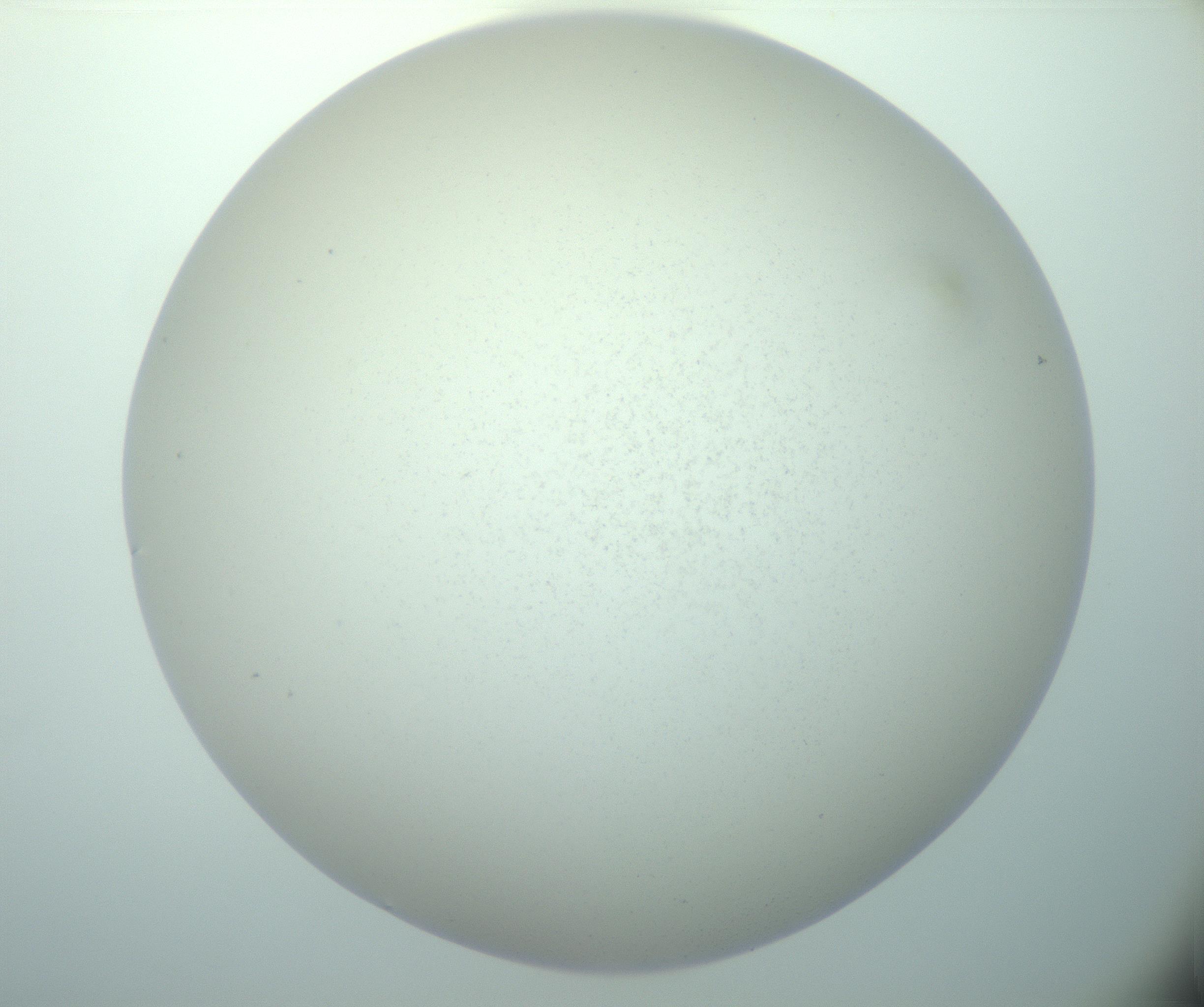 RI01_03_000_0212_Proj1_Clon1_MC_0000MC103015_002_161120_01_03_02_00_99_002_001_RAI.jpg