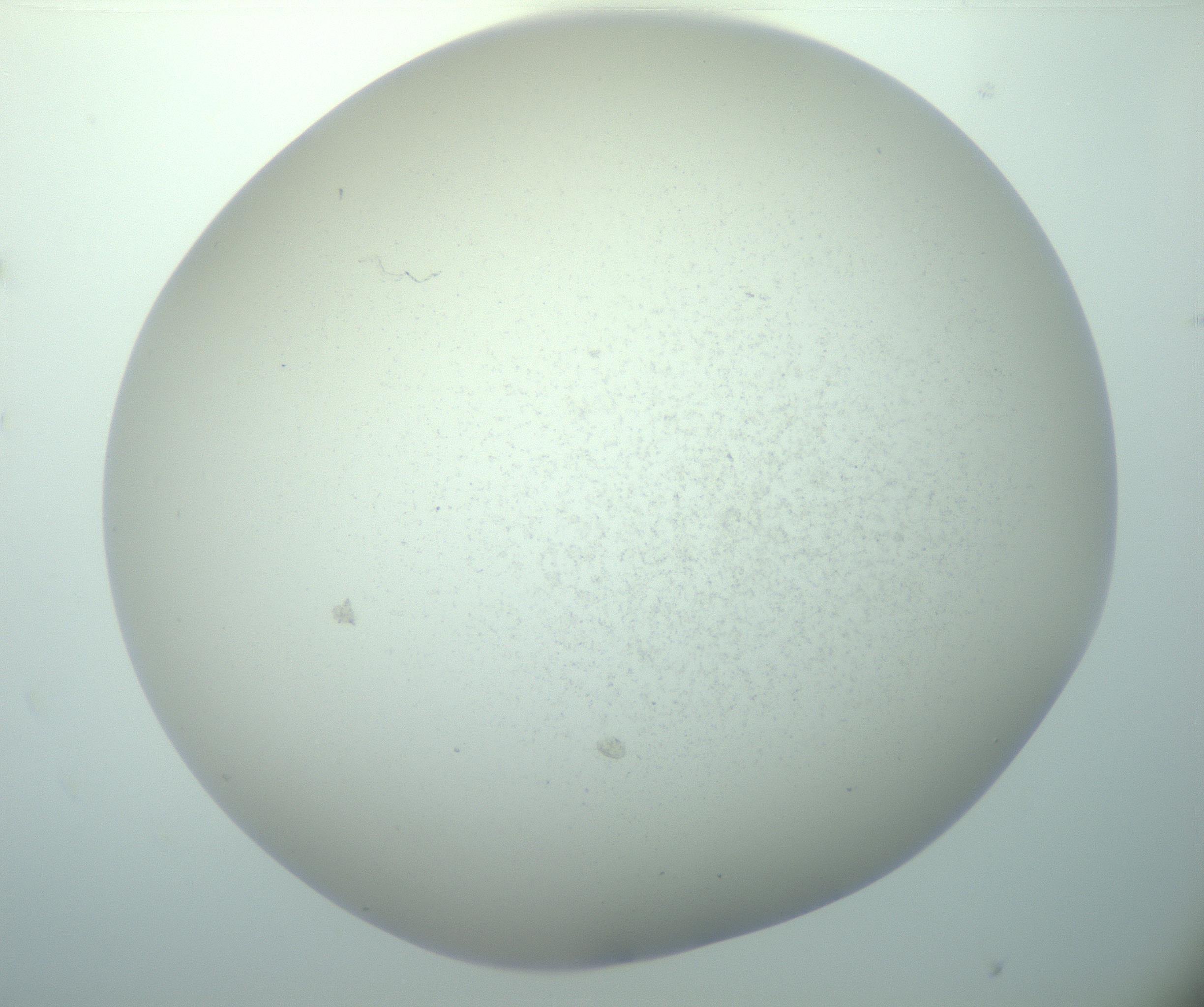 RI01_03_000_0212_Proj1_Clon1_MC_0000MC103015_002_161120_01_04_02_00_99_002_001_RAI.jpg