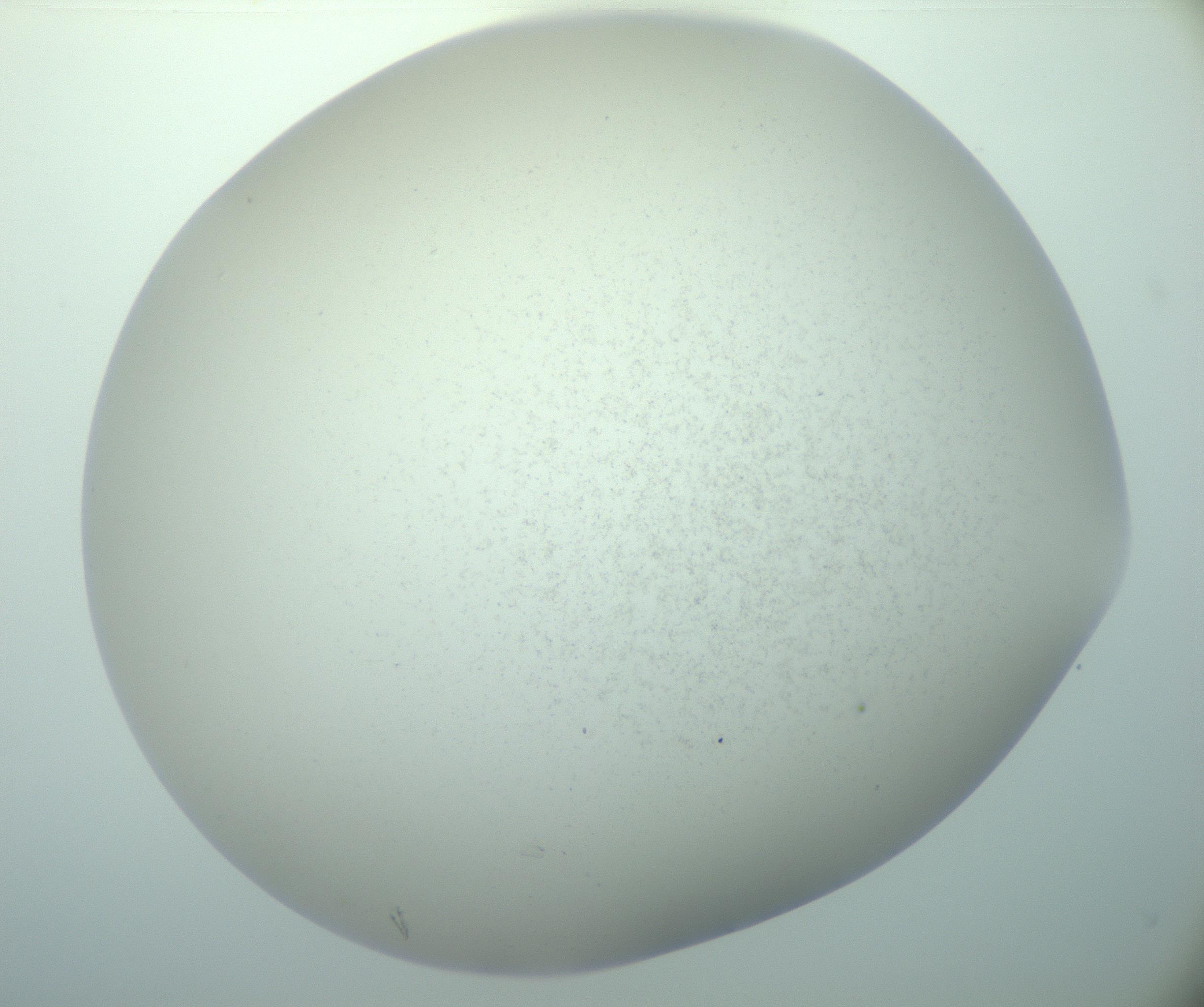 RI01_03_000_0212_Proj1_Clon1_MC_0000MC103015_002_161120_01_05_02_00_99_002_001_RAI.jpg