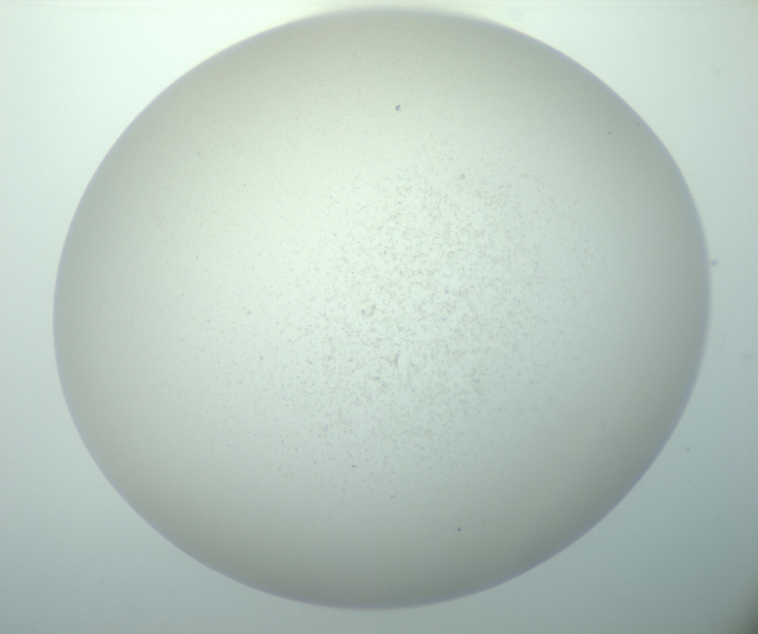 RI01_03_000_0212_Proj1_Clon1_MC_0000MC103015_002_161120_01_06_02_00_99_002_001_RAI.jpg