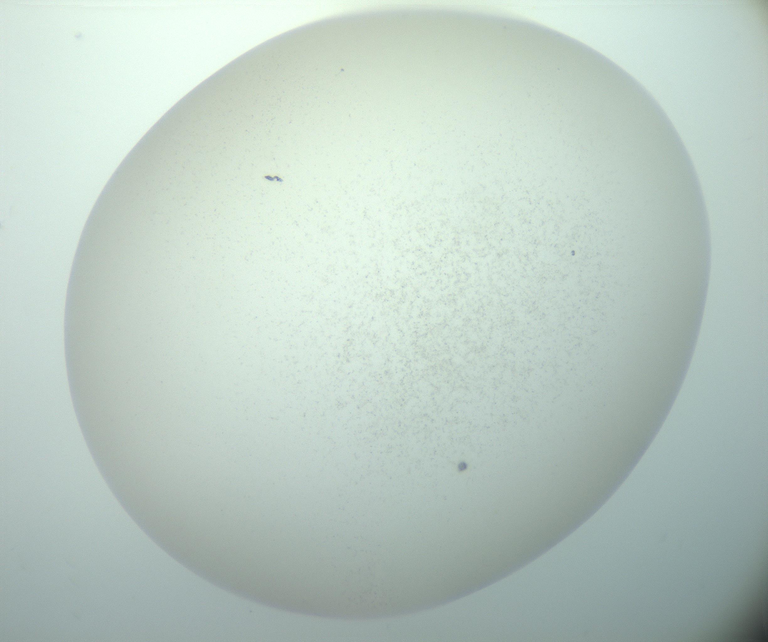 RI01_03_000_0212_Proj1_Clon1_MC_0000MC103015_002_161120_01_07_02_00_99_002_001_RAI.jpg