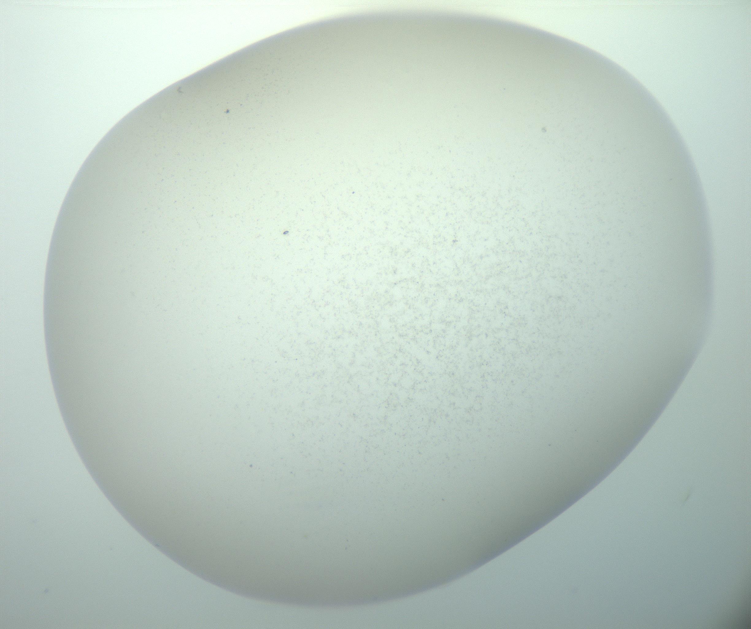 RI01_03_000_0212_Proj1_Clon1_MC_0000MC103015_002_161120_01_08_02_00_99_002_001_RAI.jpg
