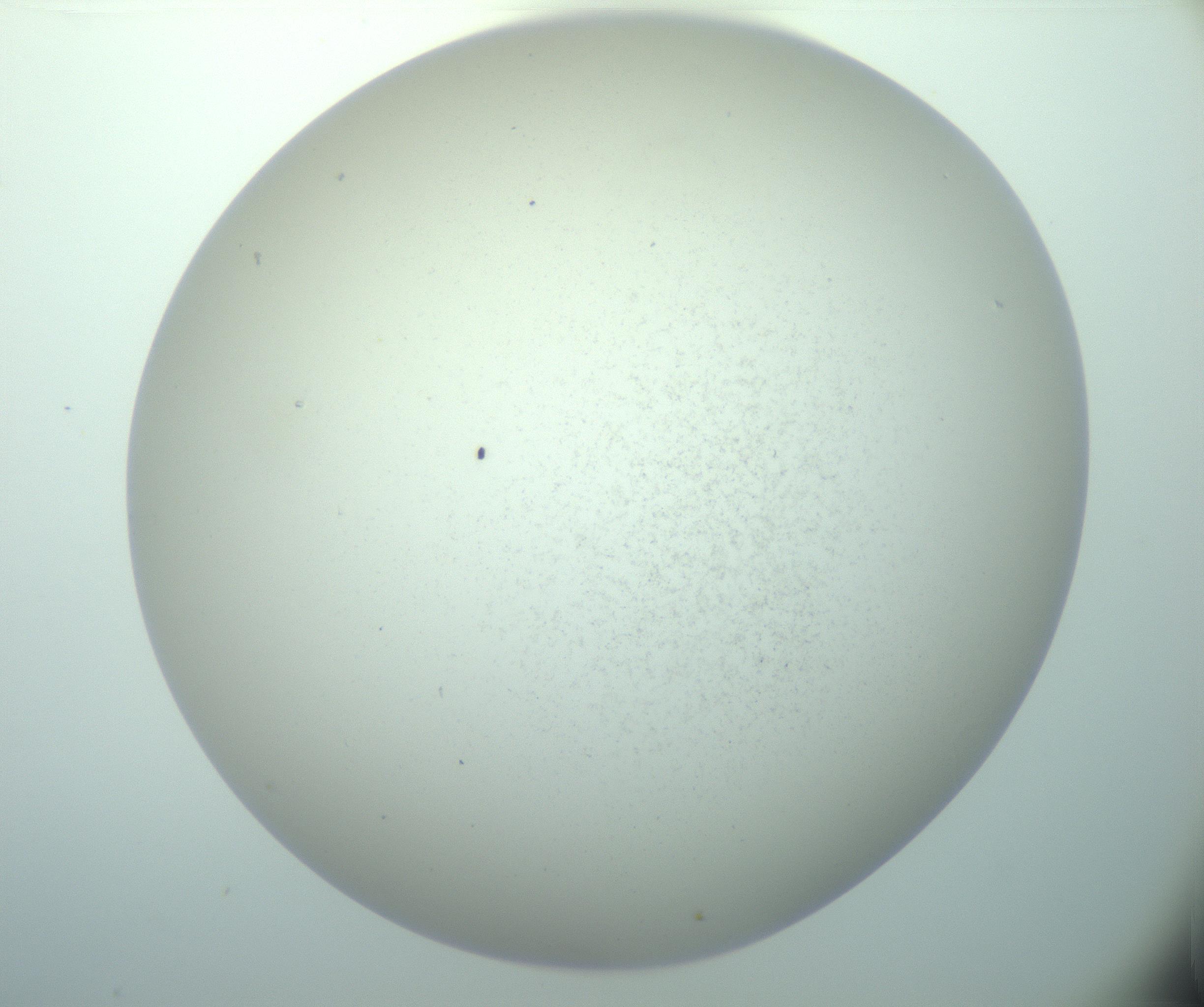 RI01_03_000_0212_Proj1_Clon1_MC_0000MC103015_002_161120_02_03_02_00_99_002_001_RAI.jpg