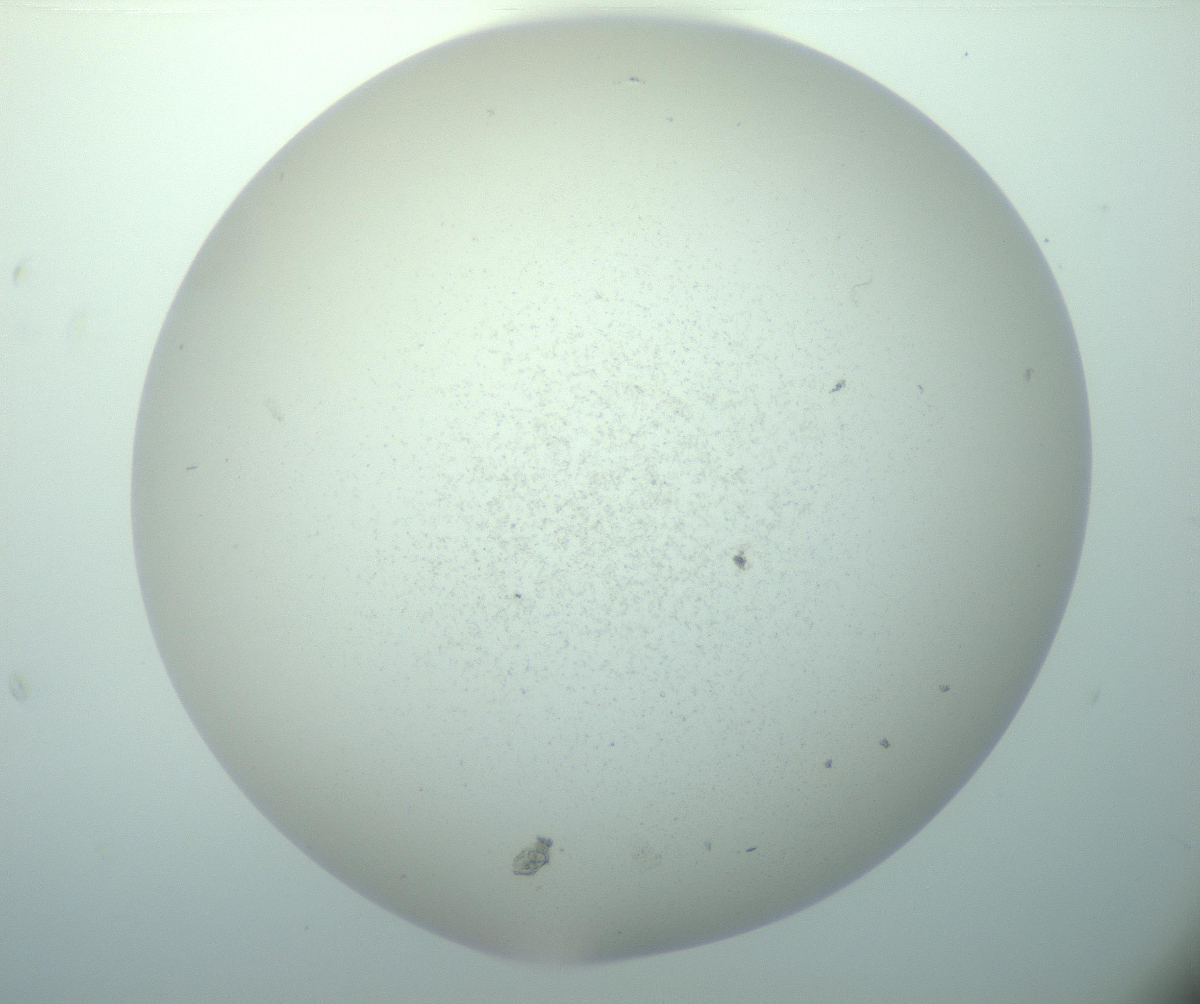 RI01_03_000_0212_Proj1_Clon1_MC_0000MC103015_002_161120_02_04_02_00_99_002_001_RAI.jpg