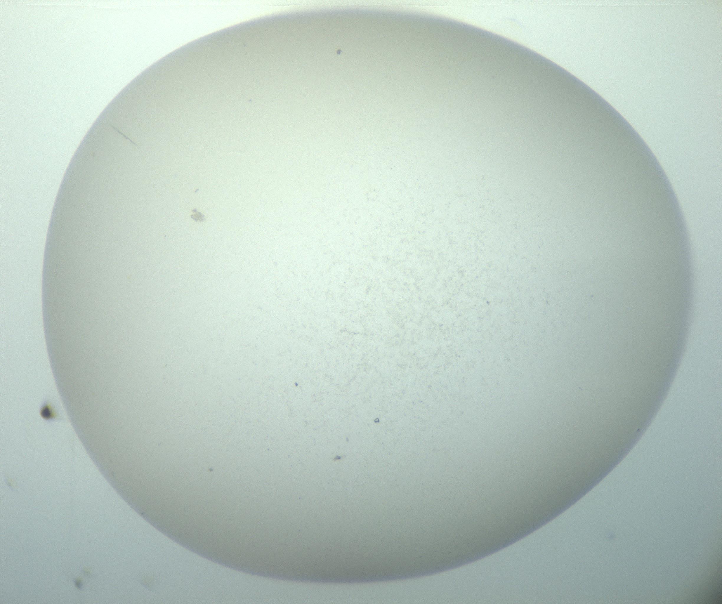 RI01_03_000_0212_Proj1_Clon1_MC_0000MC103015_002_161120_02_05_02_00_99_002_001_RAI.jpg
