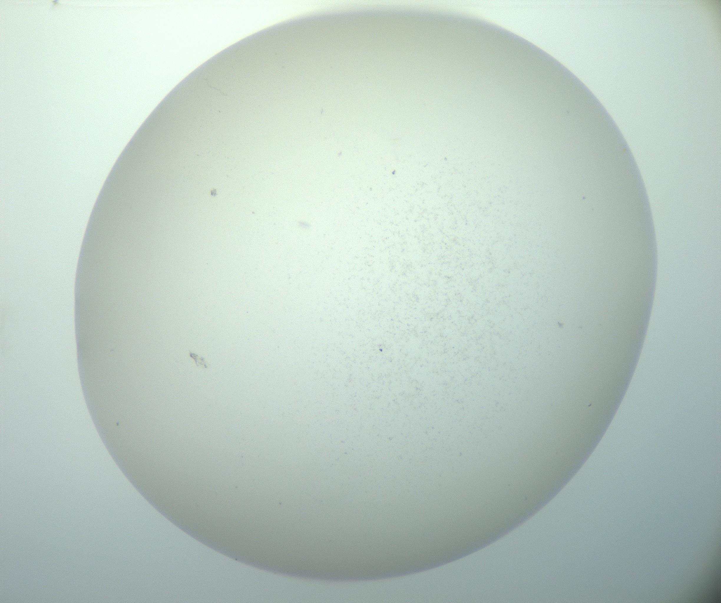 RI01_03_000_0212_Proj1_Clon1_MC_0000MC103015_002_161120_02_06_02_00_99_002_001_RAI.jpg