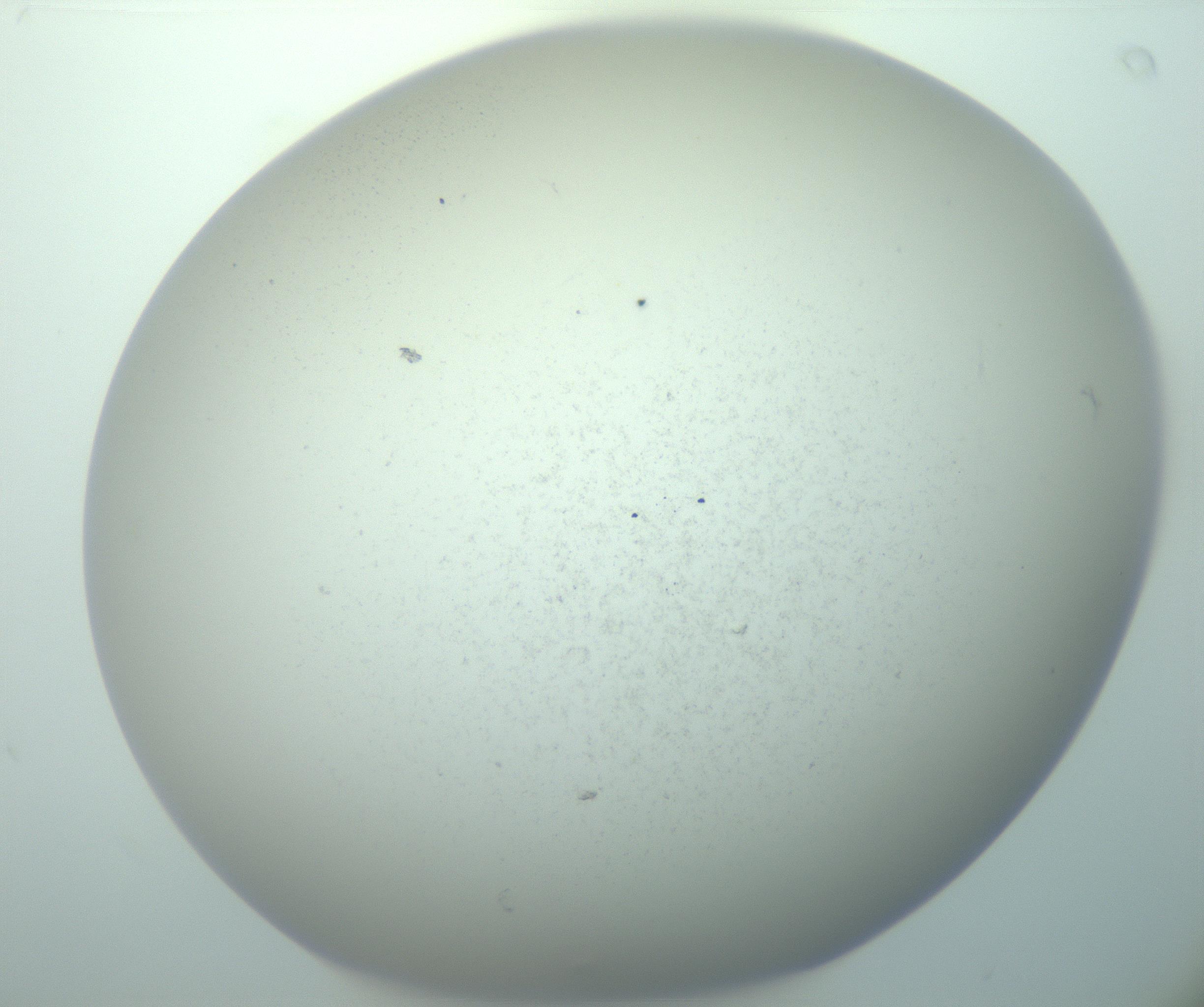 RI01_03_000_0212_Proj1_Clon1_MC_0000MC103015_002_161120_02_07_02_00_99_002_001_RAI.jpg