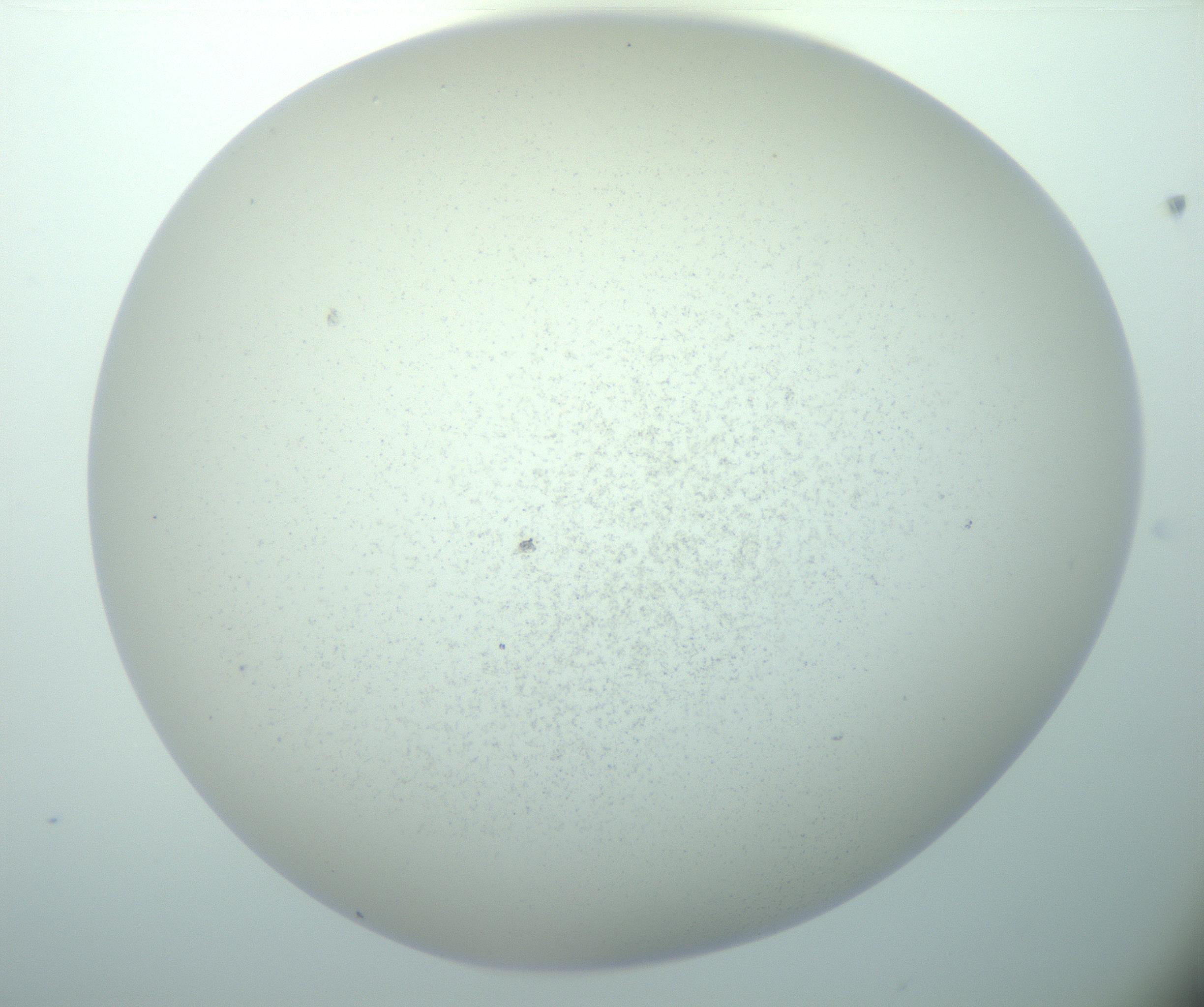 RI01_03_000_0212_Proj1_Clon1_MC_0000MC103015_002_161120_03_01_02_00_99_002_001_RAI.jpg