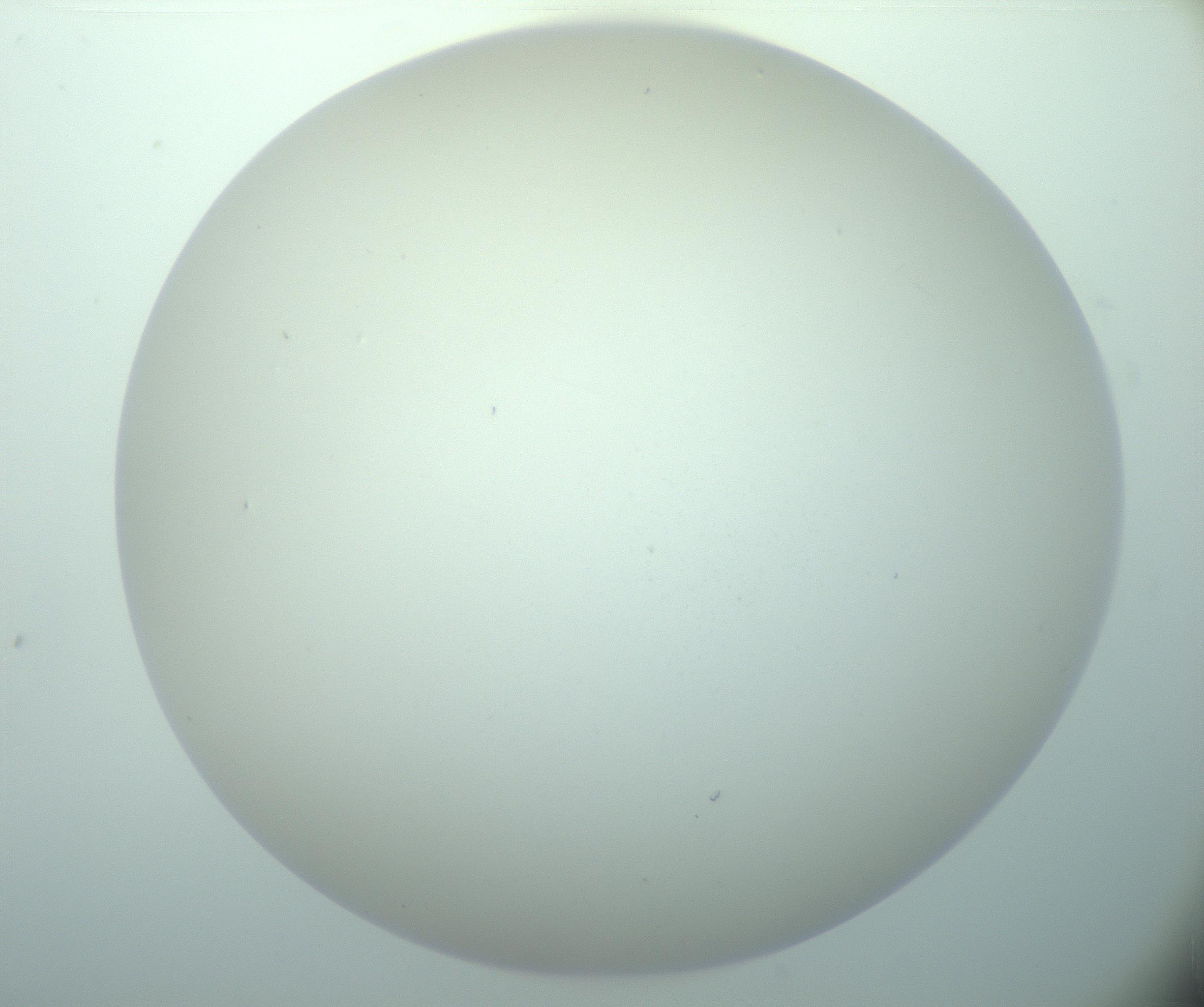RI01_03_000_0212_Proj1_Clon1_MC_0000MC103015_002_161120_03_02_02_00_99_002_001_RAI.jpg