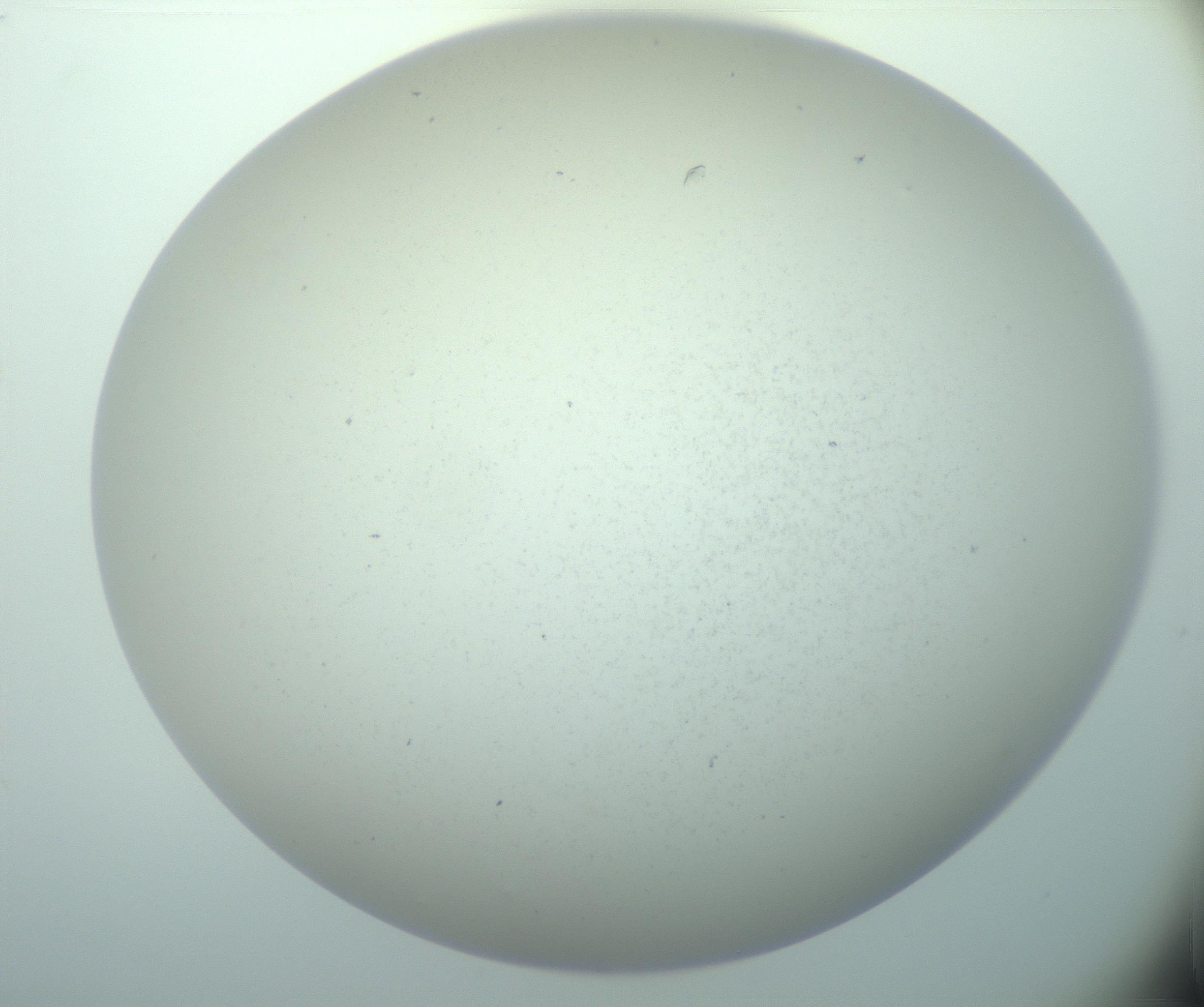 RI01_03_000_0212_Proj1_Clon1_MC_0000MC103015_002_161120_03_03_02_00_99_002_001_RAI.jpg