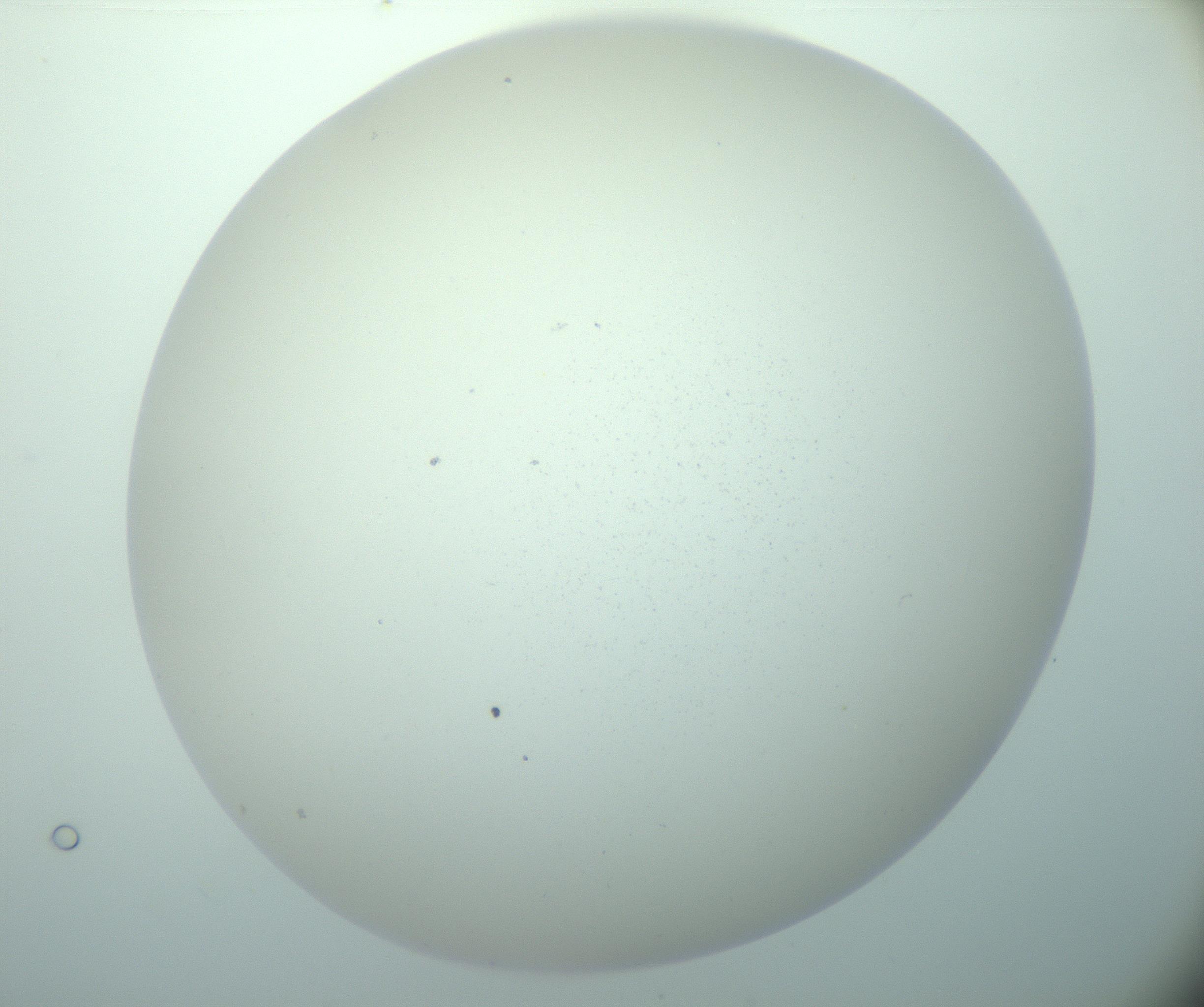 RI01_03_000_0212_Proj1_Clon1_MC_0000MC103015_002_161120_03_05_02_00_99_002_001_RAI.jpg