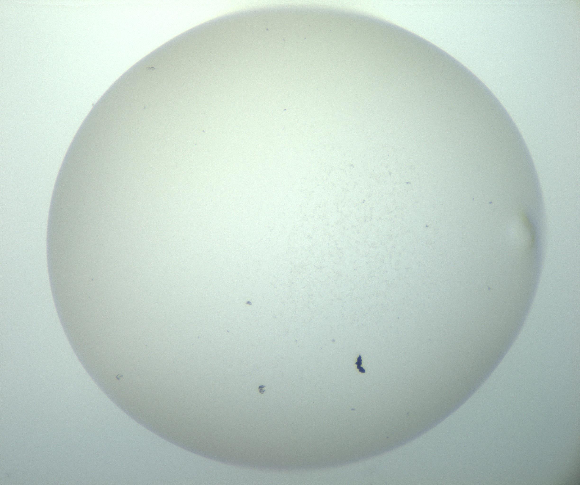 RI01_03_000_0212_Proj1_Clon1_MC_0000MC103015_002_161120_03_06_02_00_99_002_001_RAI.jpg
