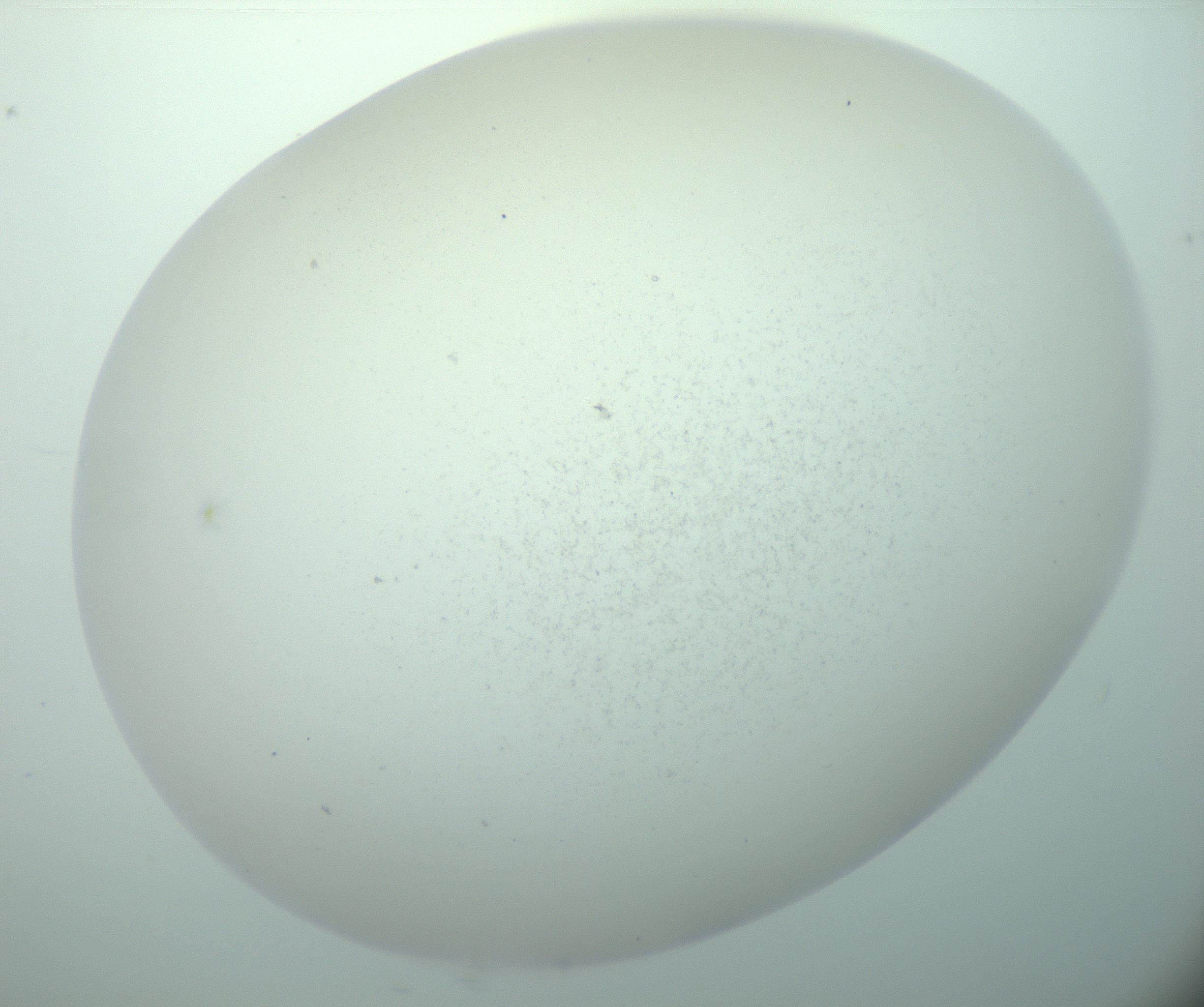 RI01_03_000_0212_Proj1_Clon1_MC_0000MC103015_002_161120_03_07_02_00_99_002_001_RAI.jpg