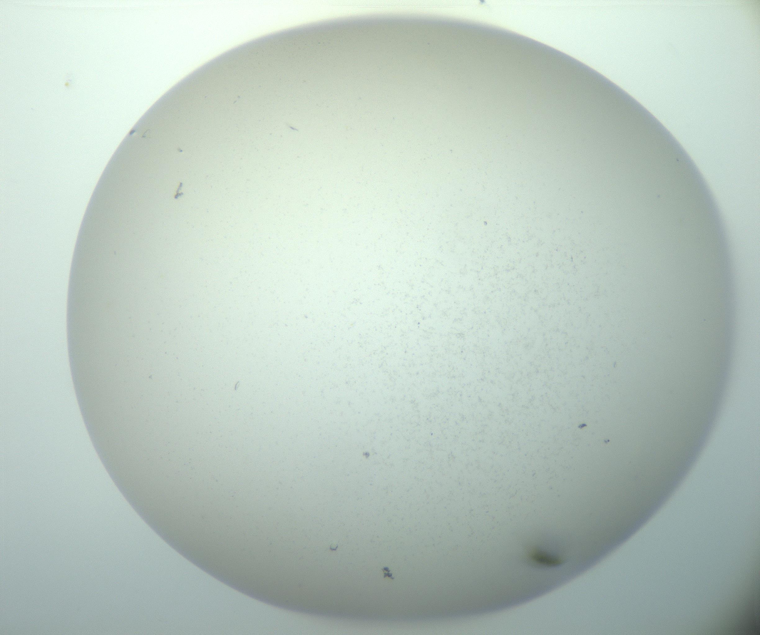 RI01_03_000_0212_Proj1_Clon1_MC_0000MC103015_002_161120_04_02_02_00_99_002_001_RAI.jpg