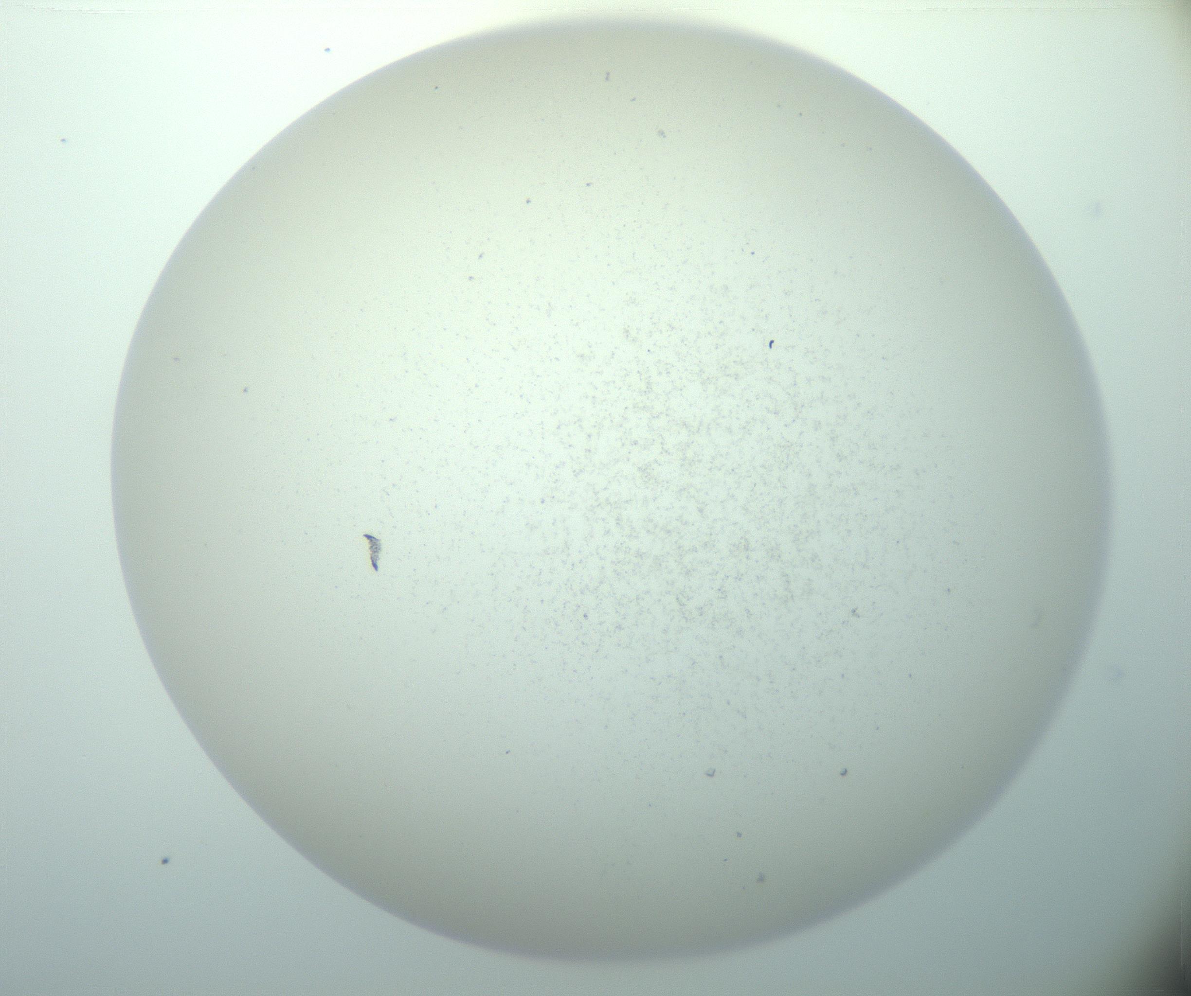 RI01_03_000_0212_Proj1_Clon1_MC_0000MC103015_002_161120_04_03_02_00_99_002_001_RAI.jpg