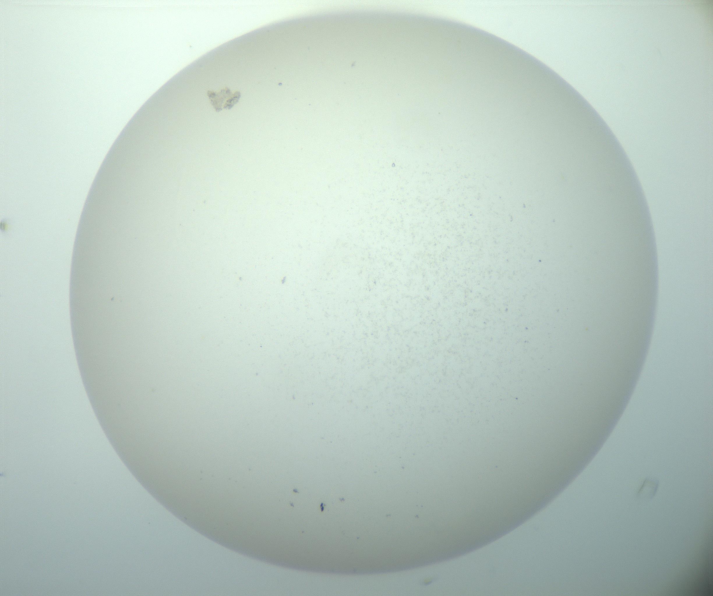RI01_03_000_0212_Proj1_Clon1_MC_0000MC103015_002_161120_04_05_02_00_99_002_001_RAI.jpg