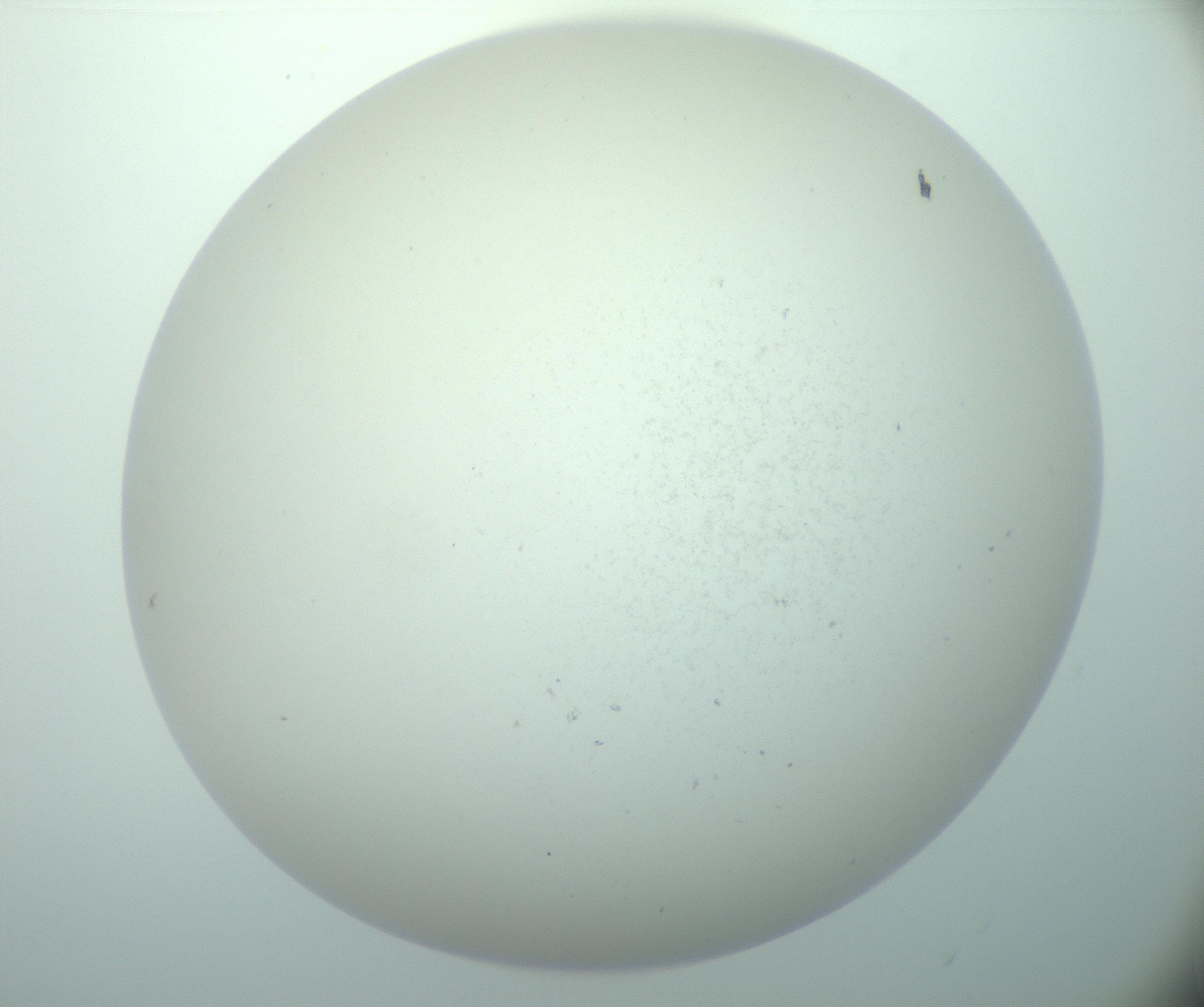 RI01_03_000_0212_Proj1_Clon1_MC_0000MC103015_002_161120_04_06_02_00_99_002_001_RAI.jpg