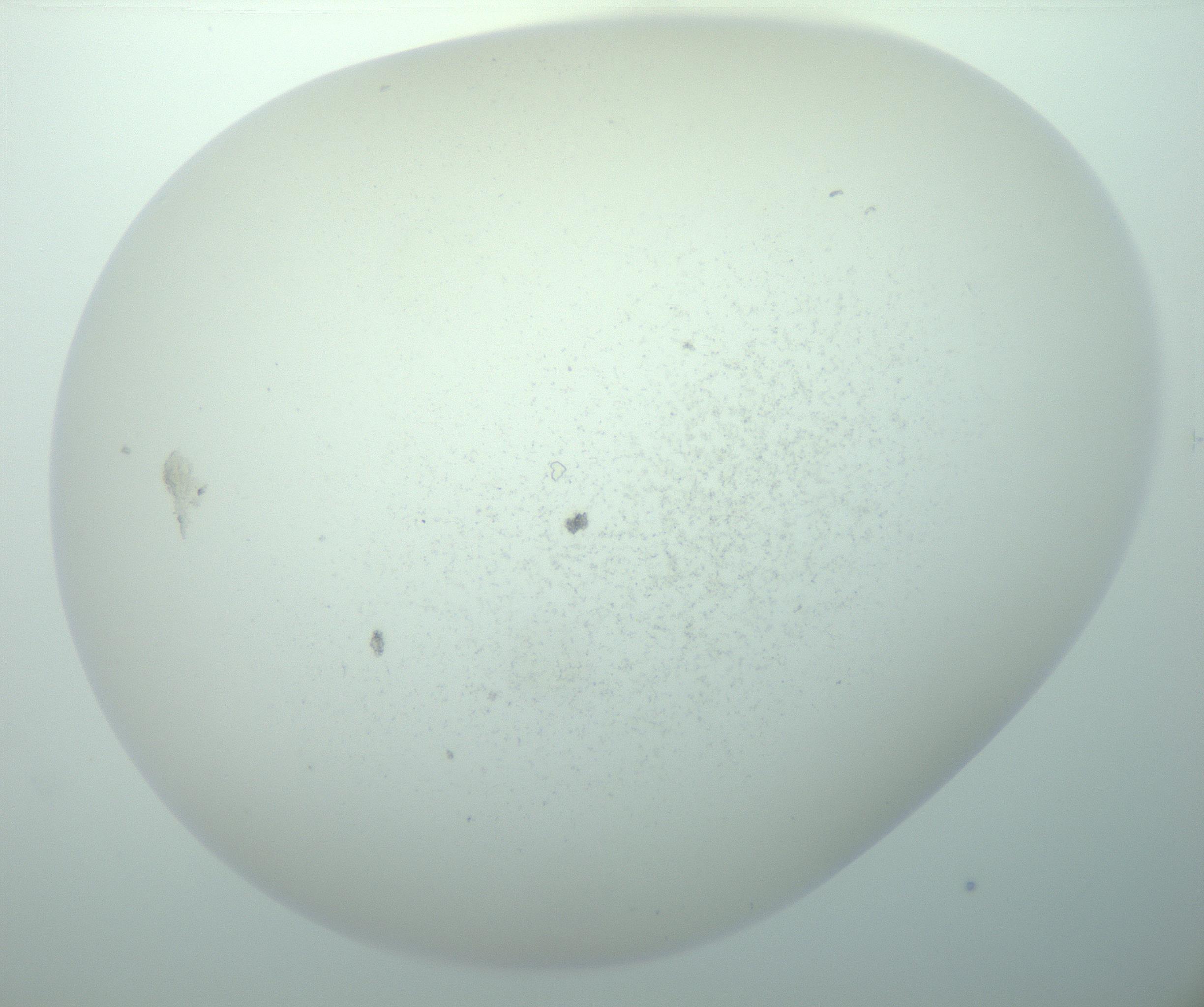 RI01_03_000_0212_Proj1_Clon1_MC_0000MC103015_002_161120_04_07_02_00_99_002_001_RAI.jpg