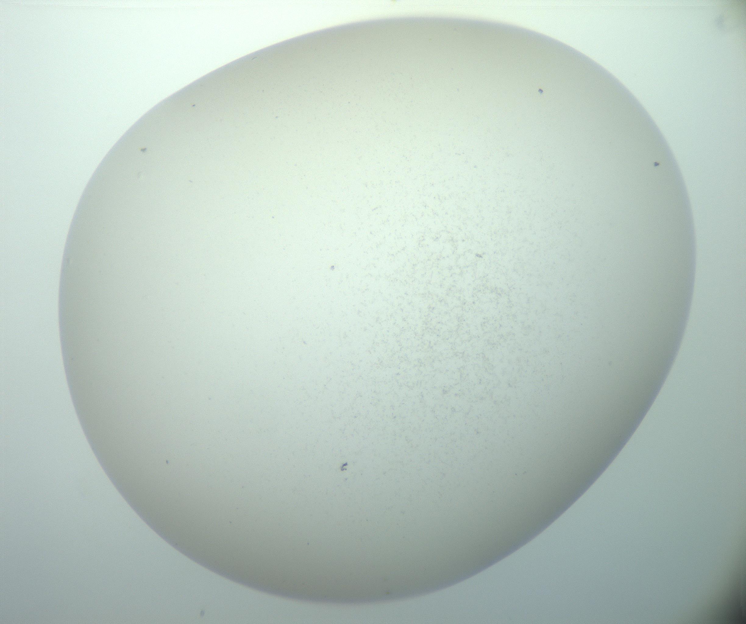 RI01_03_000_0212_Proj1_Clon1_MC_0000MC103015_002_161120_04_08_02_00_99_002_001_RAI.jpg
