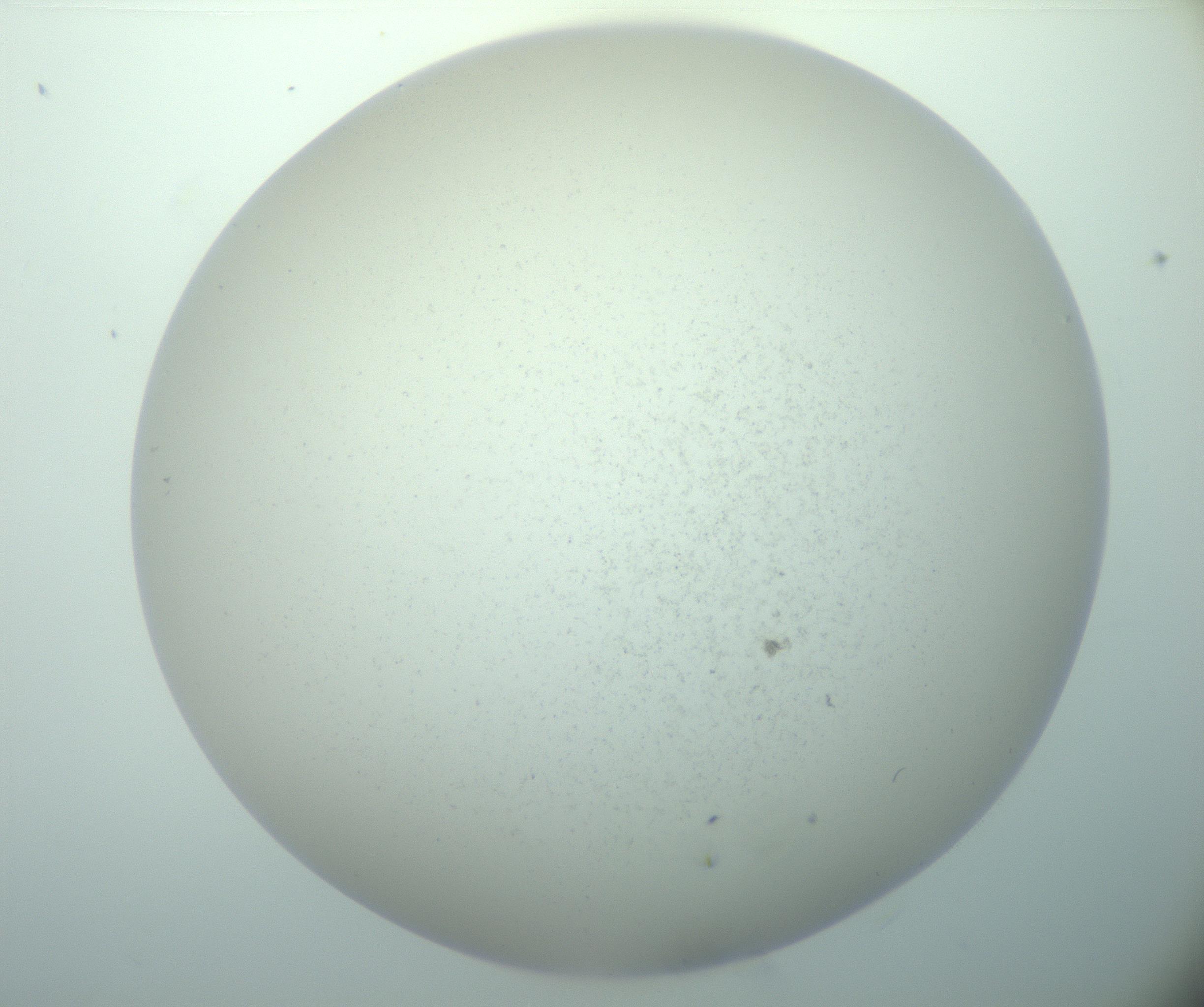 RI01_03_000_0212_Proj1_Clon1_MC_0000MC103015_002_161120_05_02_02_00_99_002_001_RAI.jpg