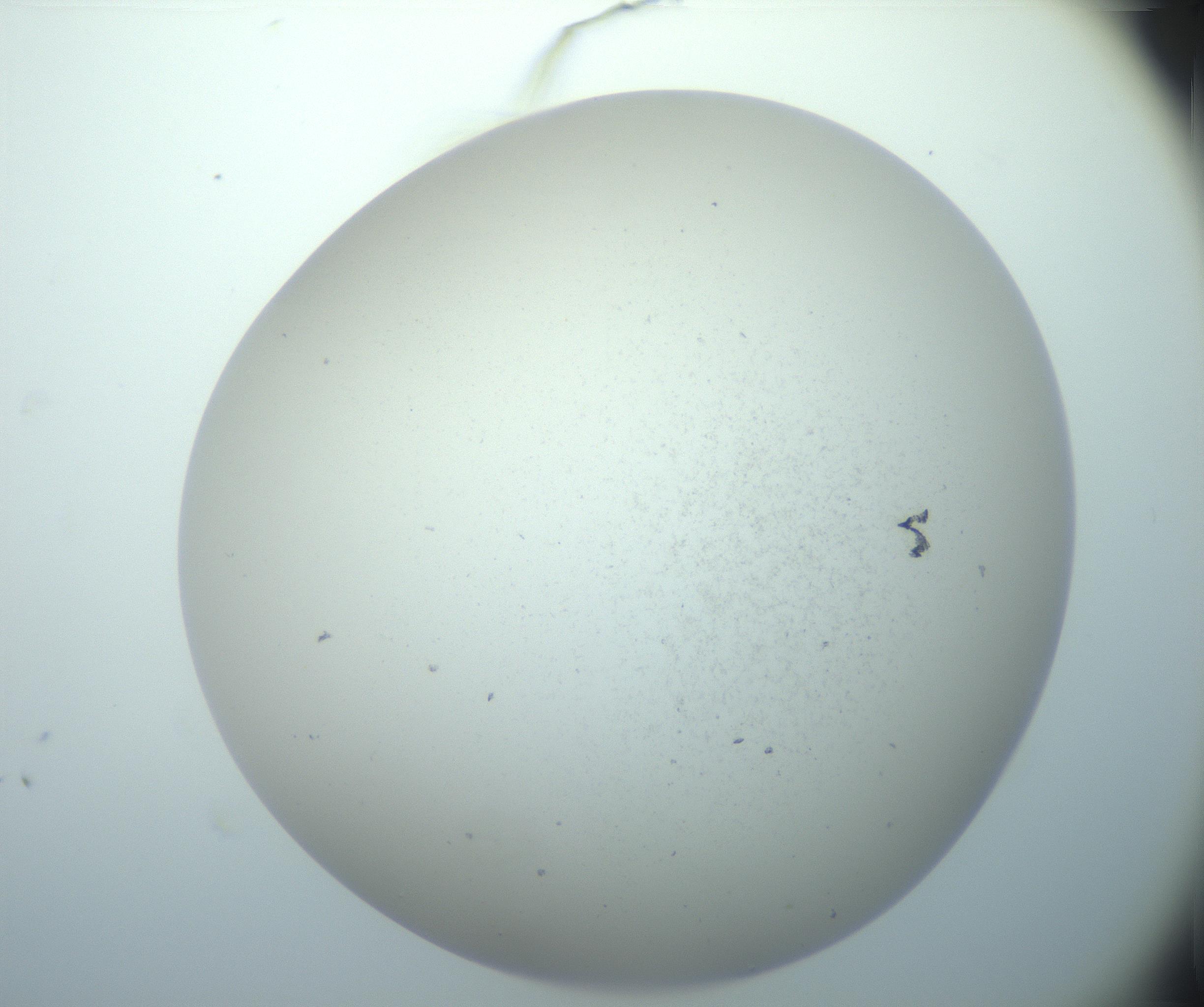 RI01_03_000_0212_Proj1_Clon1_MC_0000MC103015_002_161120_05_03_02_00_99_002_001_RAI.jpg