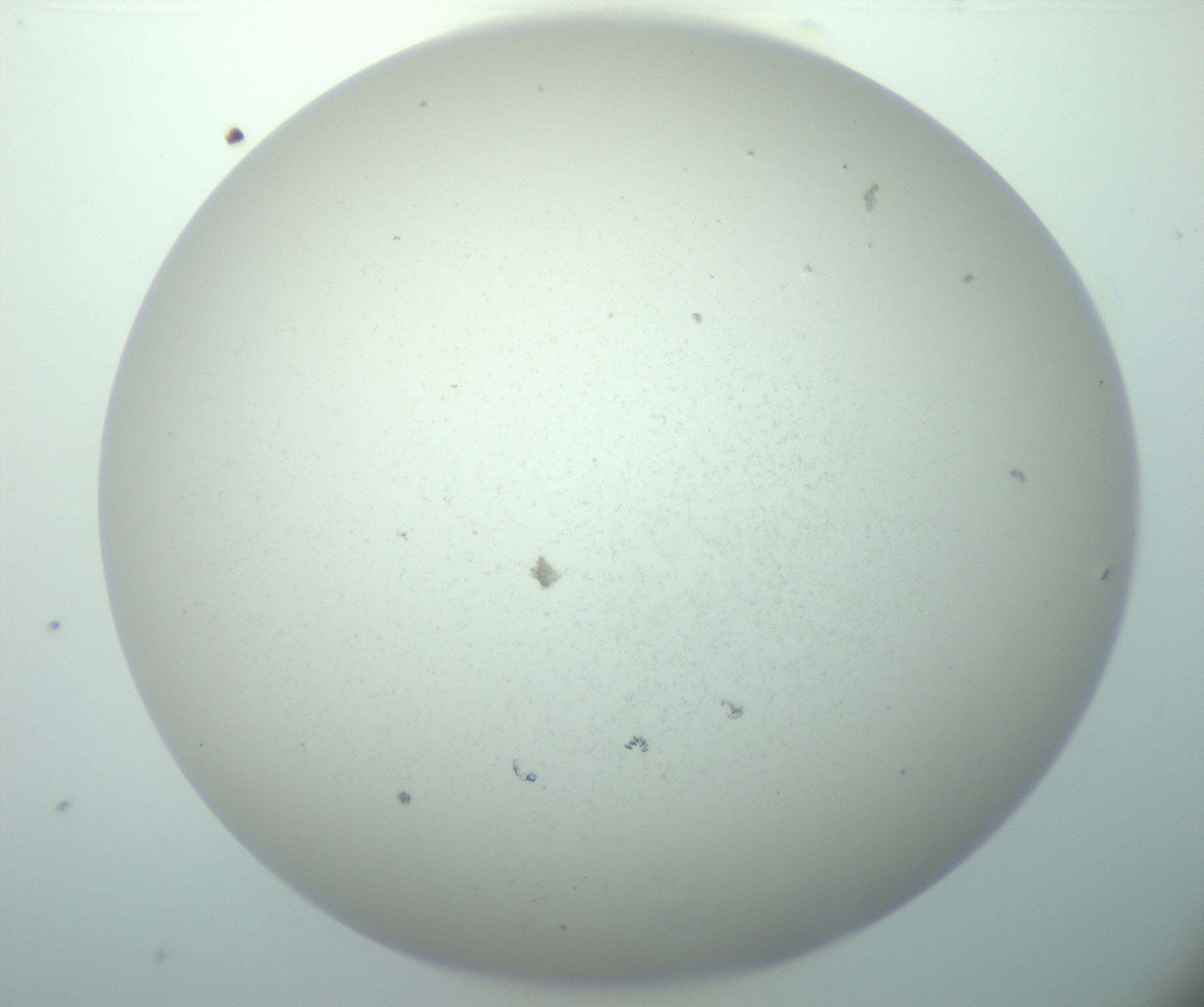 RI01_03_000_0212_Proj1_Clon1_MC_0000MC103015_002_161120_05_04_02_00_99_002_001_RAI.jpg