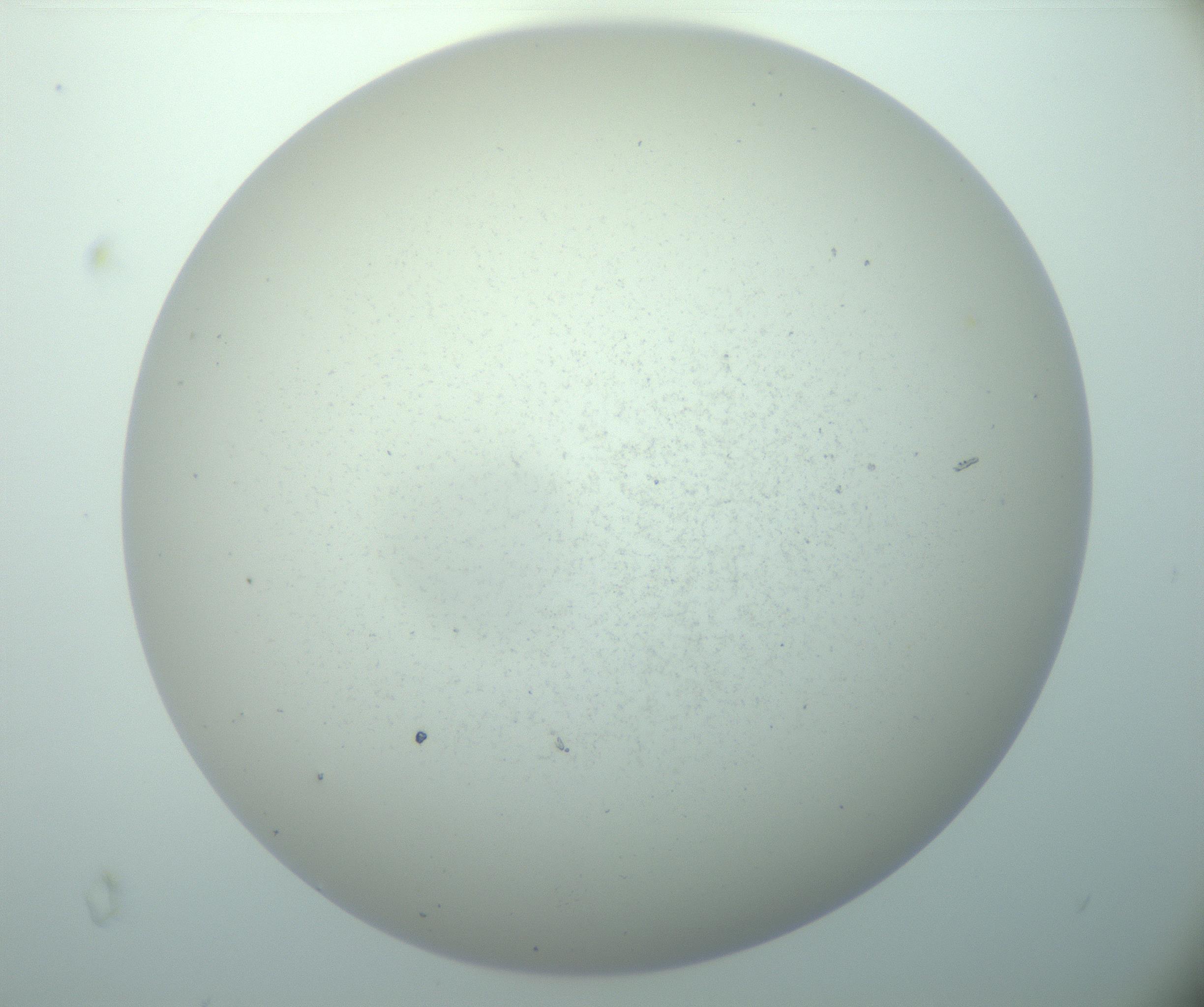 RI01_03_000_0212_Proj1_Clon1_MC_0000MC103015_002_161120_05_05_02_00_99_002_001_RAI.jpg