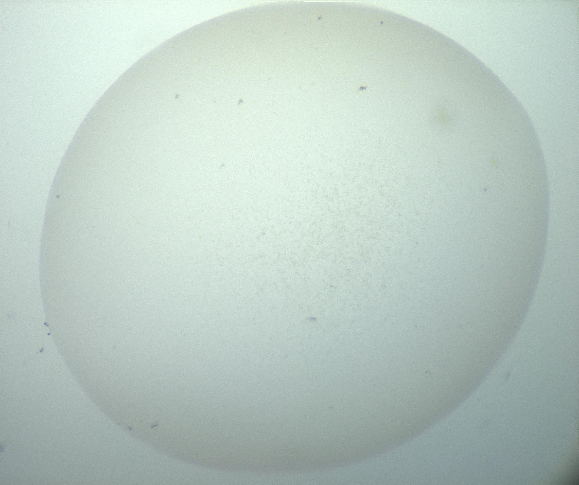 RI01_03_000_0212_Proj1_Clon1_MC_0000MC103015_002_161120_05_07_02_00_99_002_001_RAI.jpg
