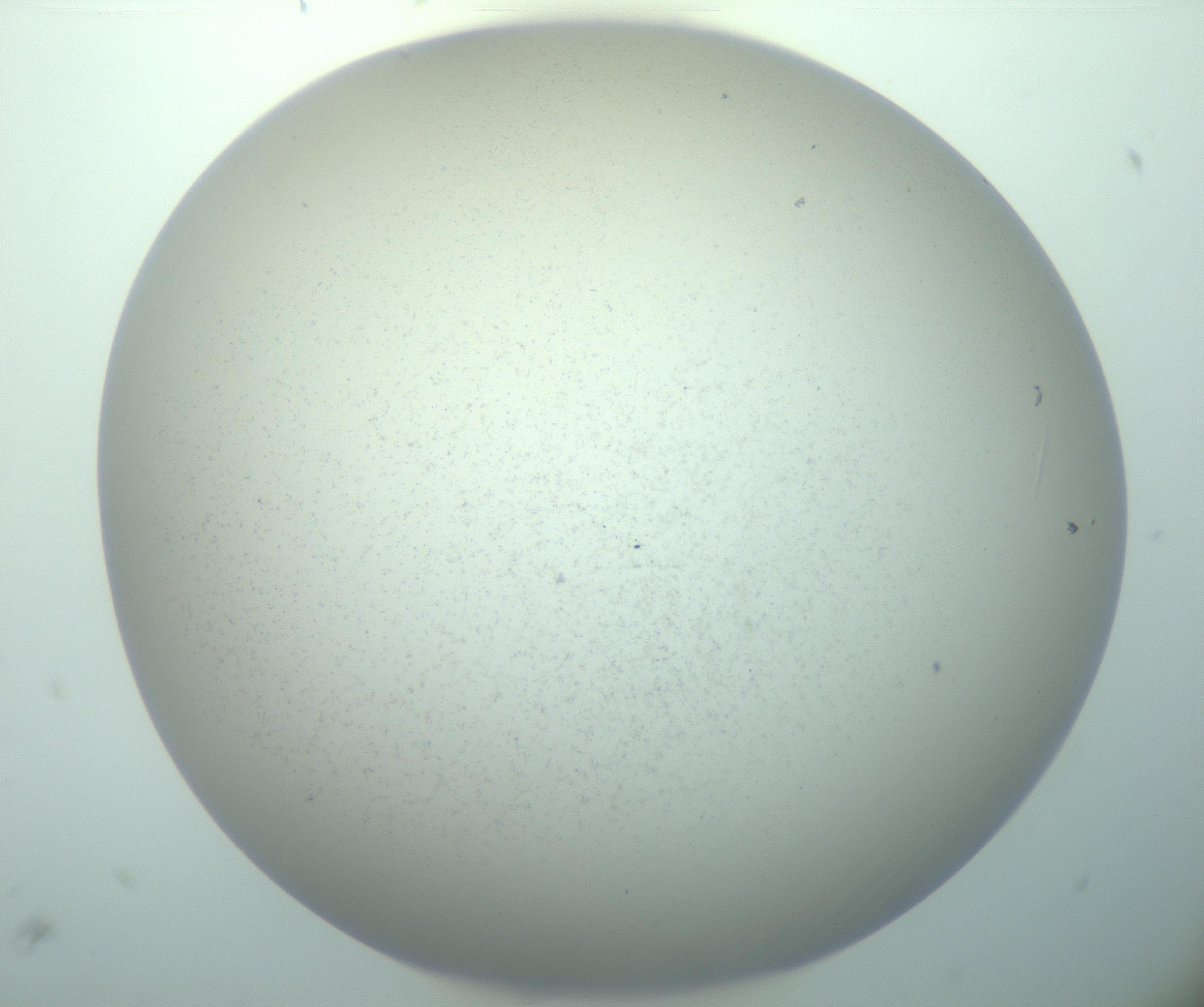 RI01_03_000_0212_Proj1_Clon1_MC_0000MC103015_002_161120_06_01_02_00_99_002_001_RAI.jpg