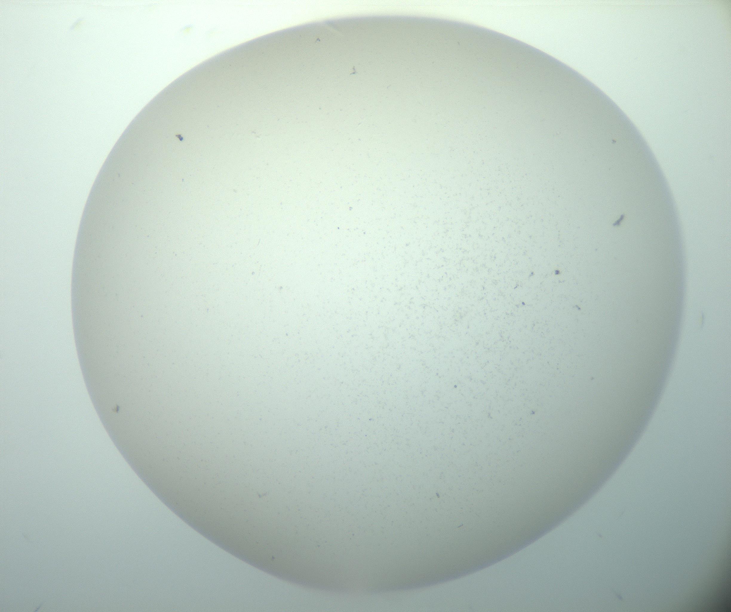 RI01_03_000_0212_Proj1_Clon1_MC_0000MC103015_002_161120_06_02_02_00_99_002_001_RAI.jpg