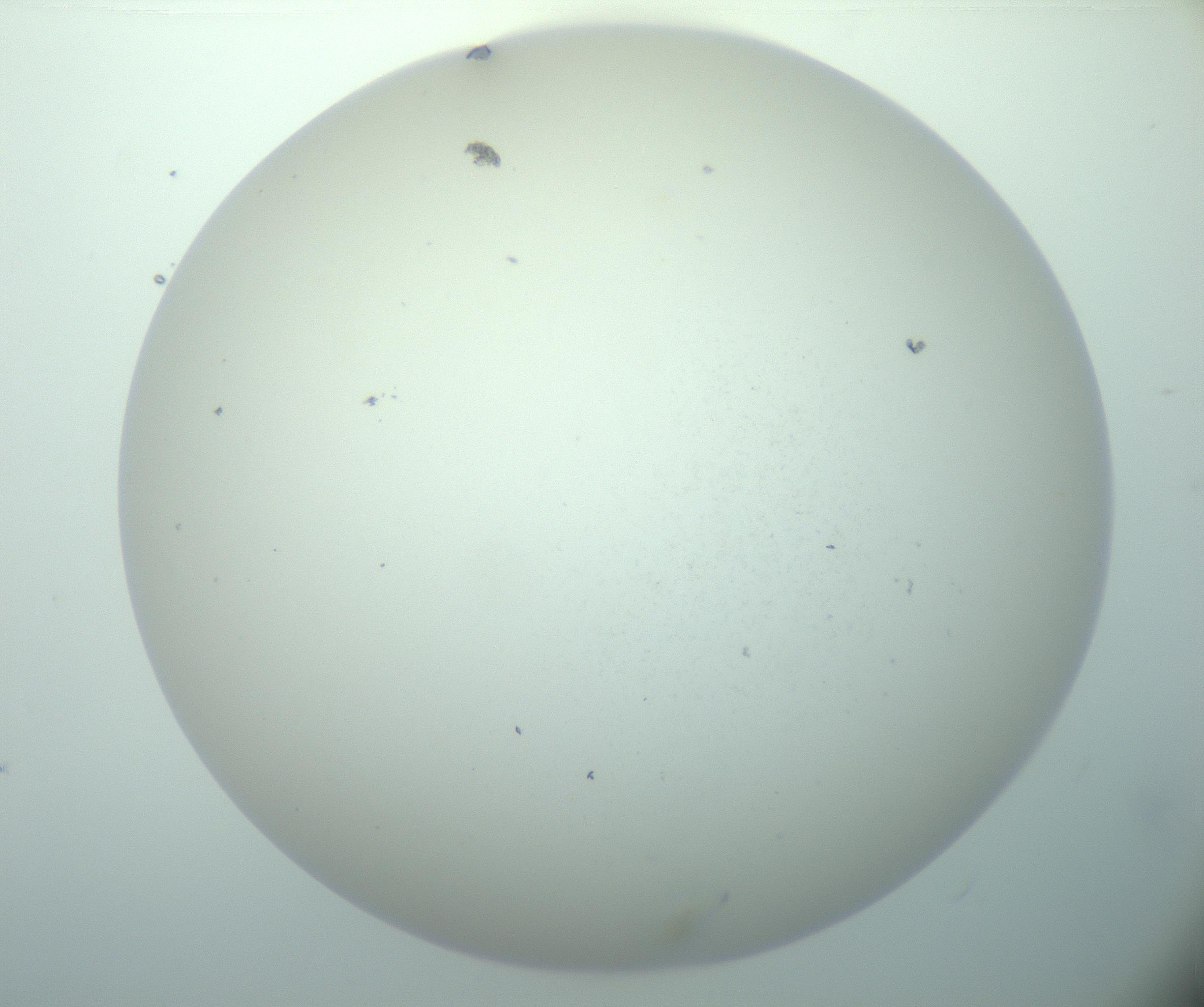 RI01_03_000_0212_Proj1_Clon1_MC_0000MC103015_002_161120_06_03_02_00_99_002_001_RAI.jpg