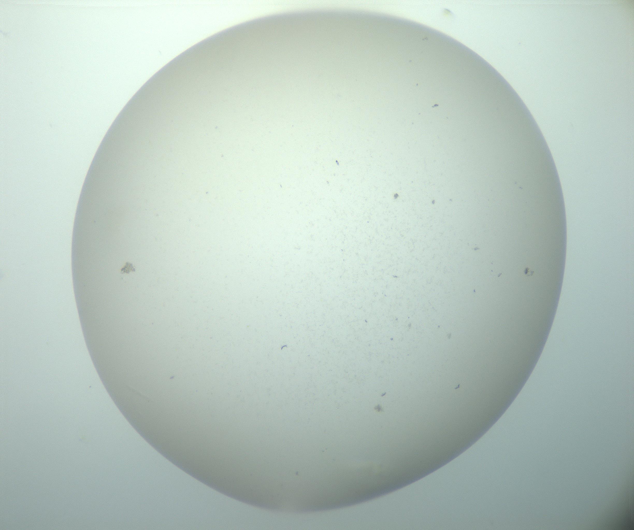RI01_03_000_0212_Proj1_Clon1_MC_0000MC103015_002_161120_06_04_02_00_99_002_001_RAI.jpg