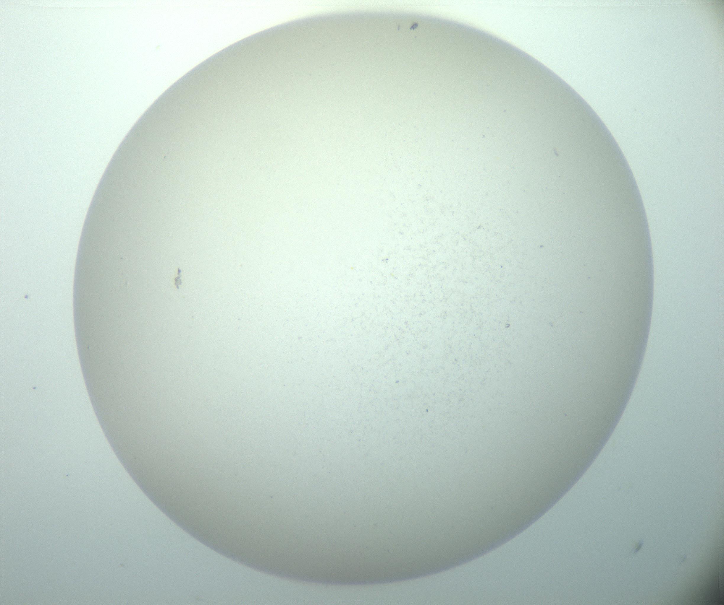 RI01_03_000_0212_Proj1_Clon1_MC_0000MC103015_002_161120_06_05_02_00_99_002_001_RAI.jpg