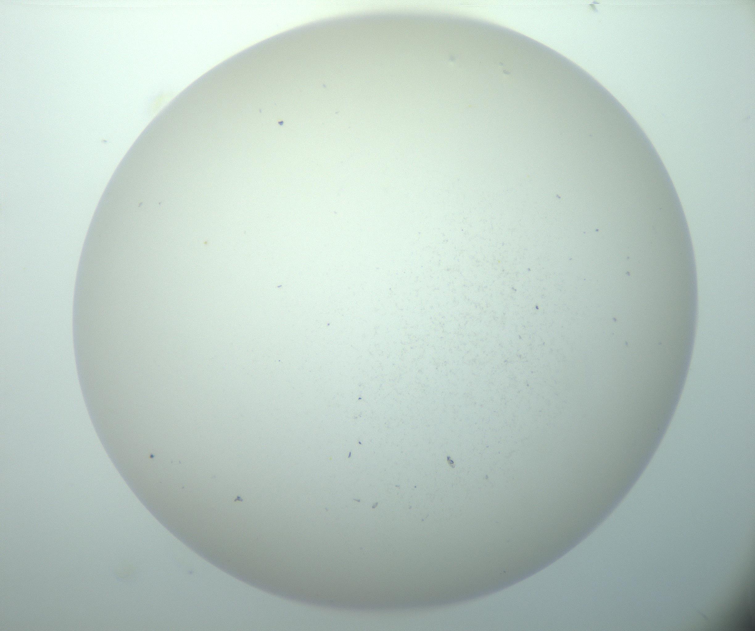 RI01_03_000_0212_Proj1_Clon1_MC_0000MC103015_002_161120_06_06_02_00_99_002_001_RAI.jpg