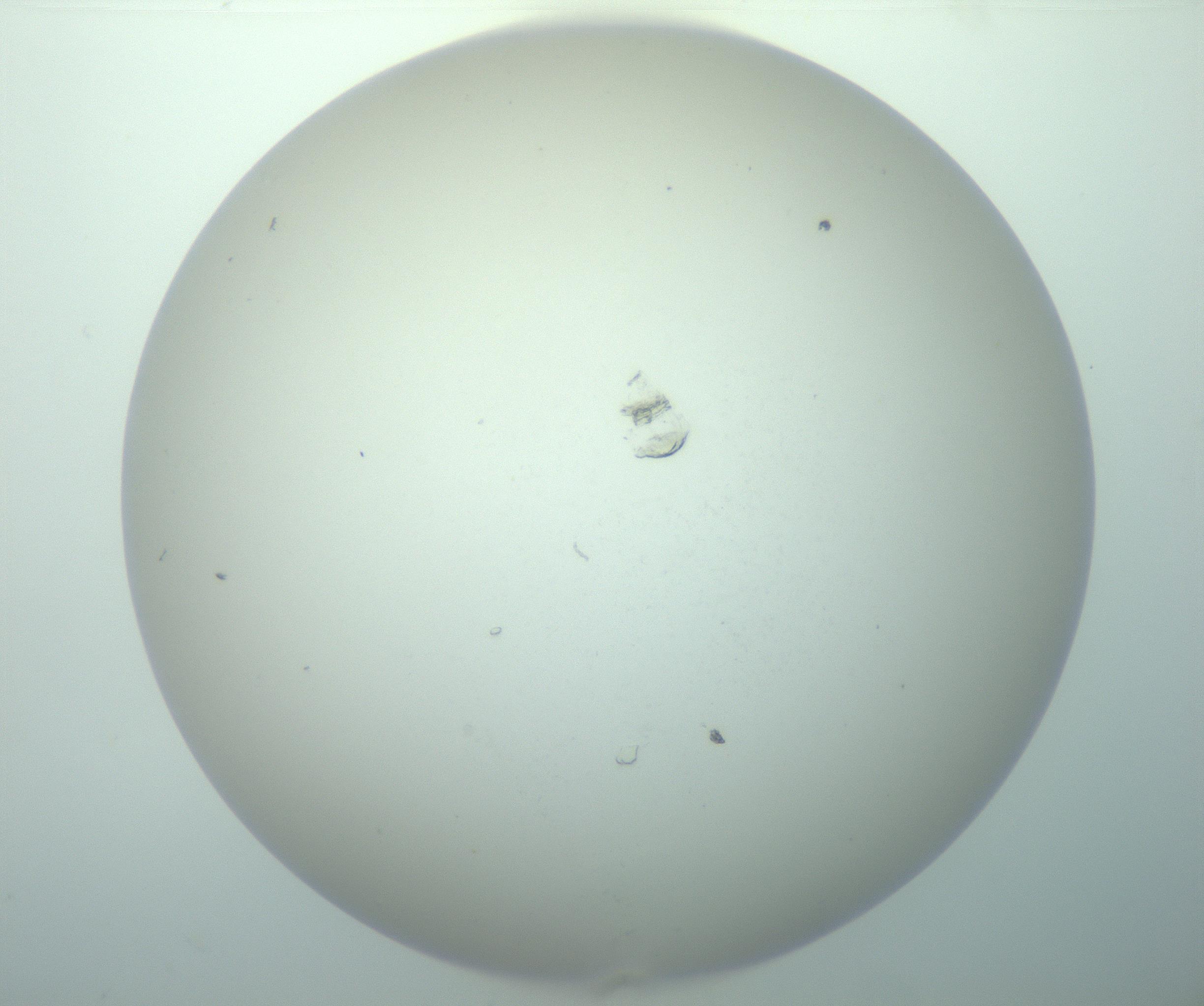 RI01_03_000_0212_Proj1_Clon1_MC_0000MC103015_002_161120_07_02_02_00_99_002_001_RAI.jpg