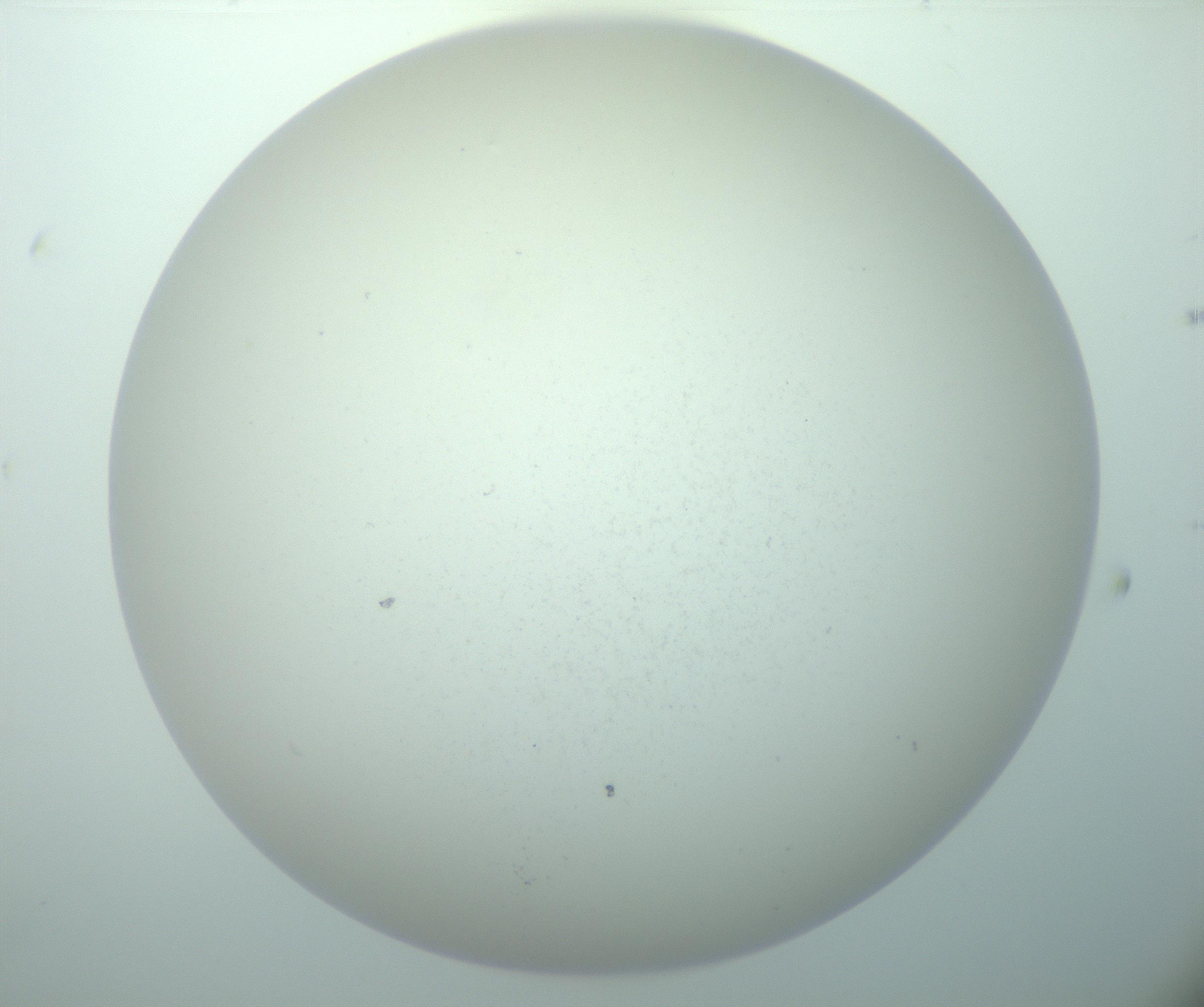 RI01_03_000_0212_Proj1_Clon1_MC_0000MC103015_002_161120_07_05_02_00_99_002_001_RAI.jpg