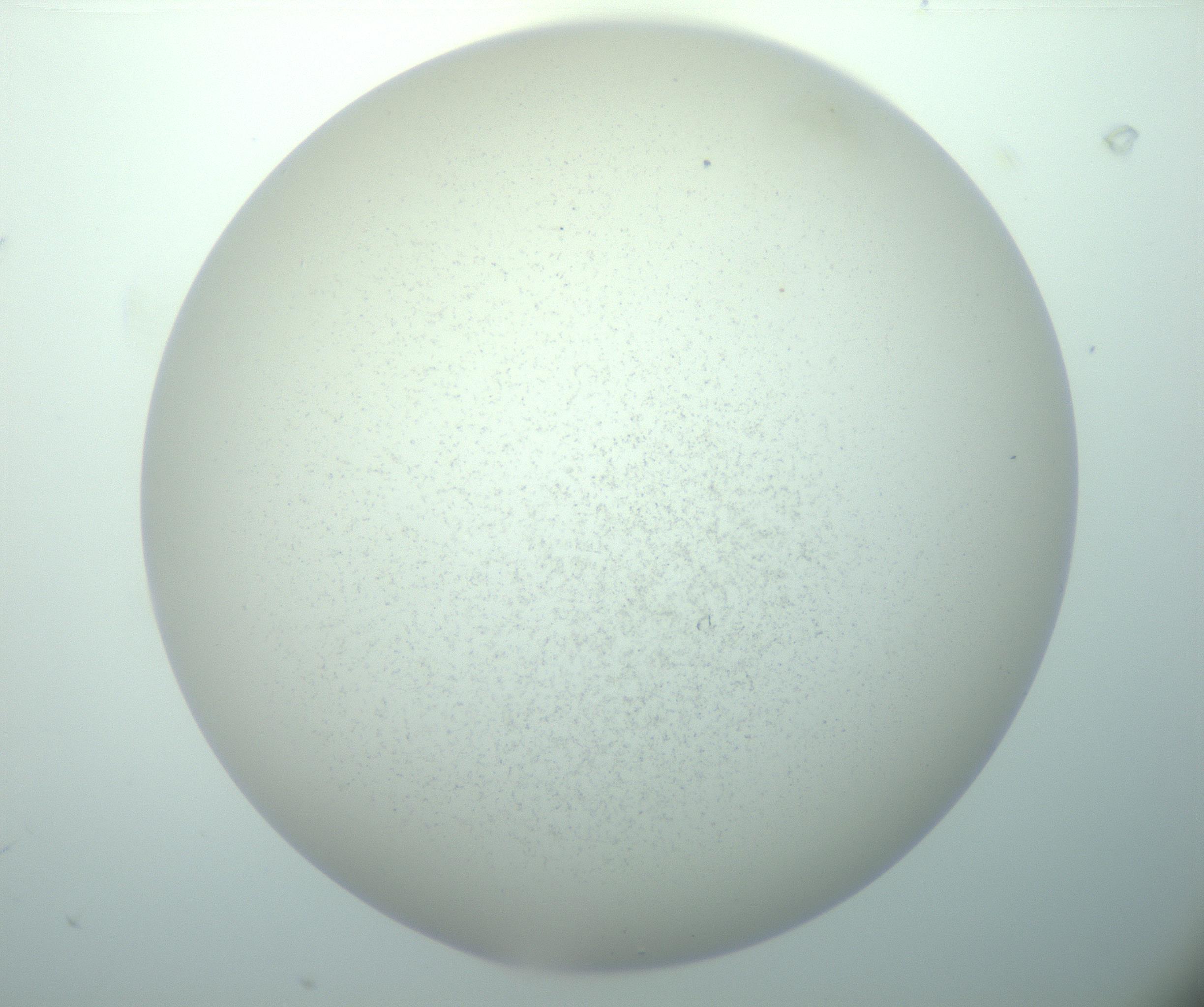 RI01_03_000_0212_Proj1_Clon1_MC_0000MC103015_002_161120_08_01_02_00_99_002_001_RAI.jpg