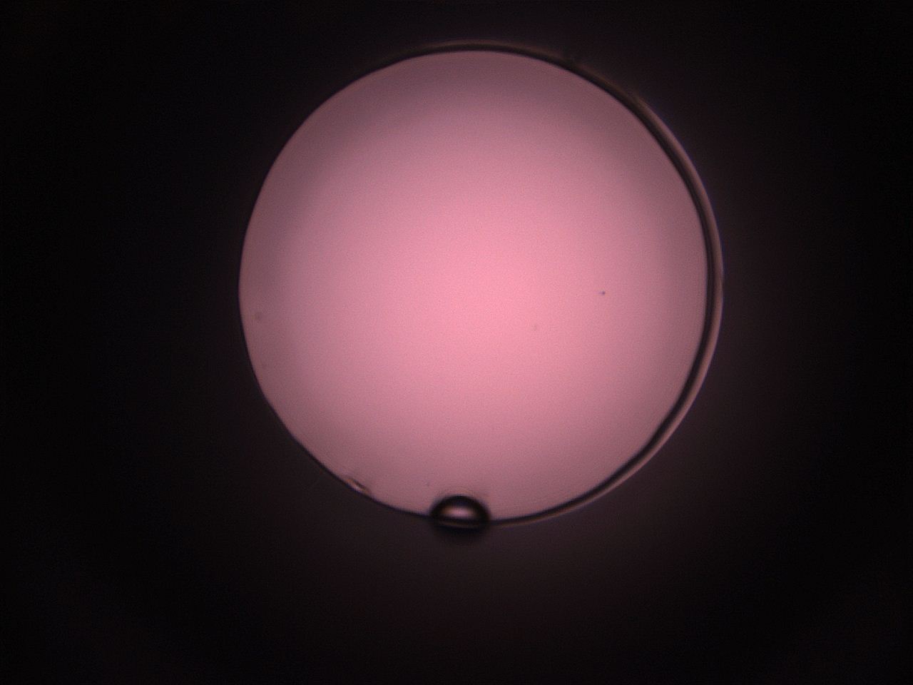 05i4_O10_ImagerDefaults_1.jpg