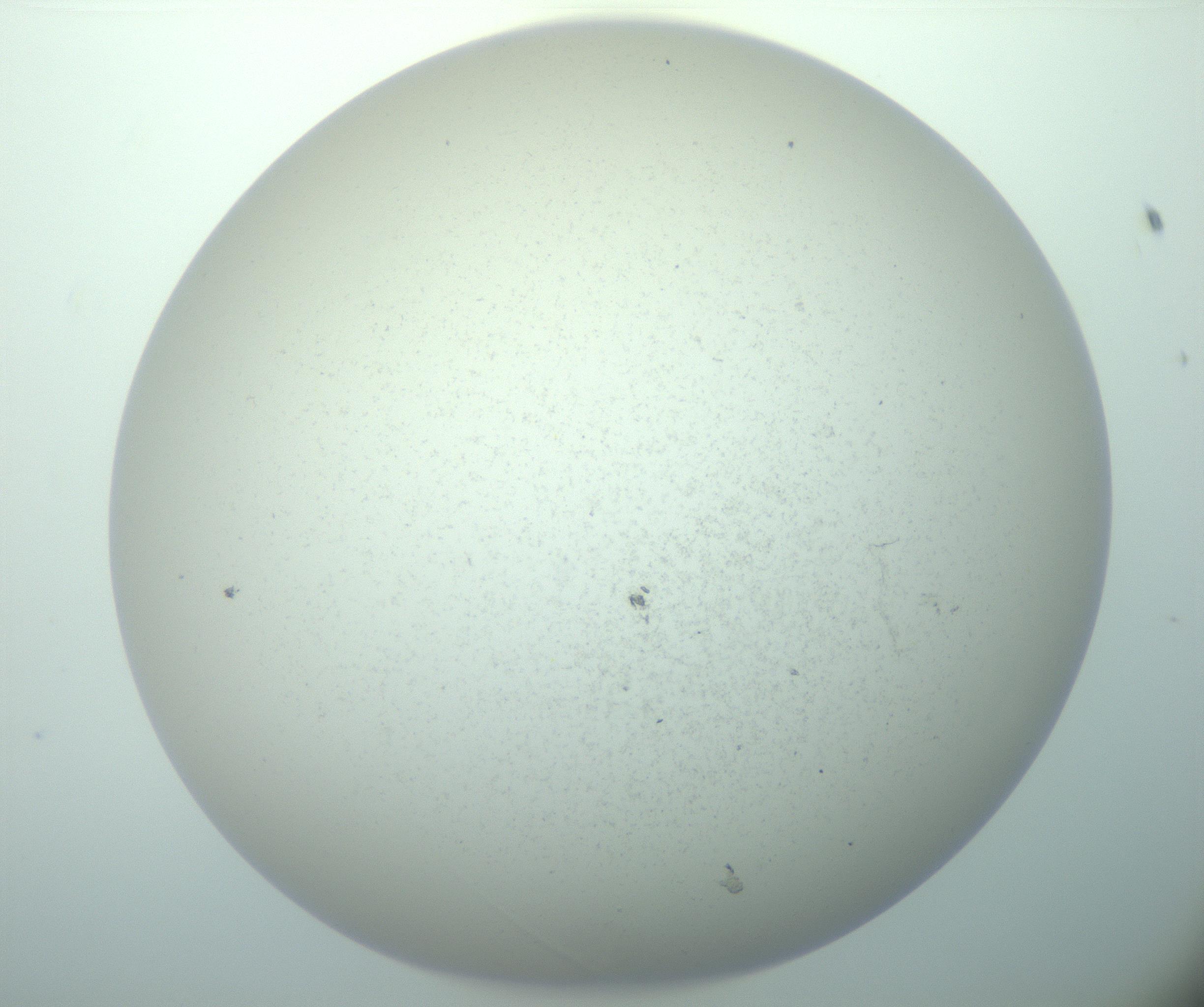 RI01_03_000_0212_Proj1_Clon1_MC_0000MC103015_002_161120_08_02_02_00_99_002_001_RAI.jpg