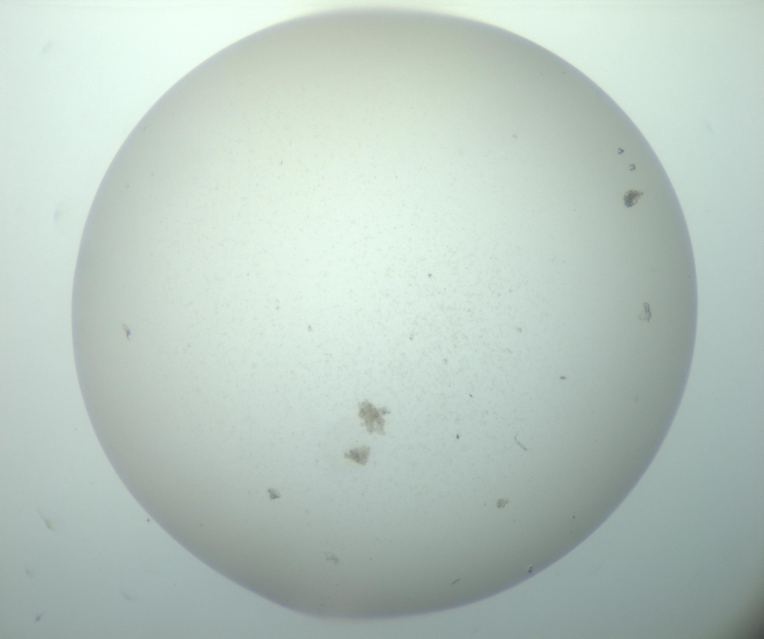 RI01_03_000_0212_Proj1_Clon1_MC_0000MC103015_002_161120_08_04_02_00_99_002_001_RAI.jpg
