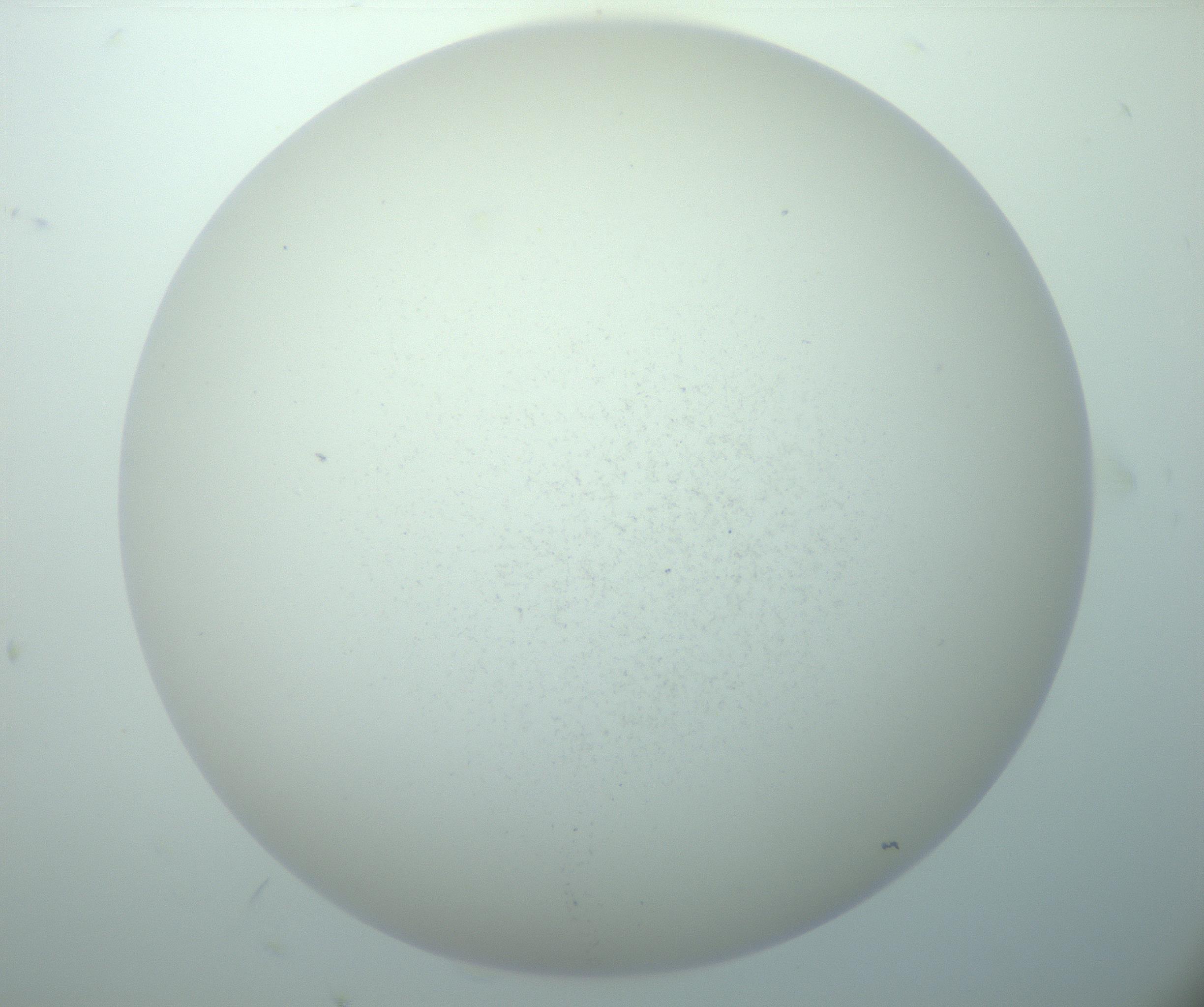 RI01_03_000_0212_Proj1_Clon1_MC_0000MC103015_002_161120_08_05_02_00_99_002_001_RAI.jpg