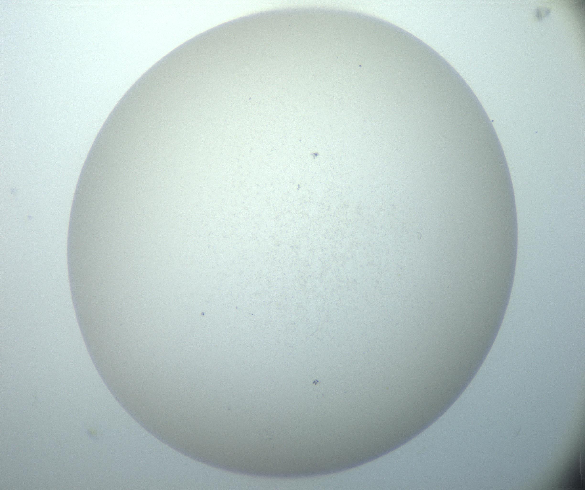 RI01_03_000_0212_Proj1_Clon1_MC_0000MC103015_002_161120_08_06_02_00_99_002_001_RAI.jpg