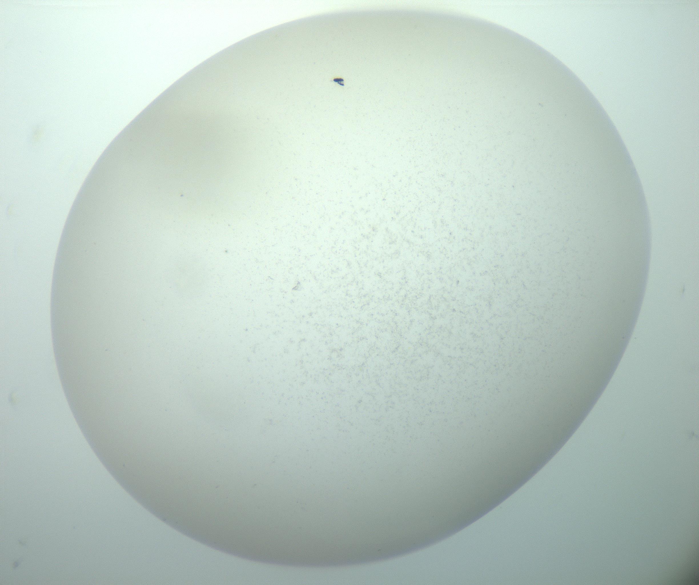 RI01_03_000_0212_Proj1_Clon1_MC_0000MC103015_002_161120_08_07_02_00_99_002_001_RAI.jpg