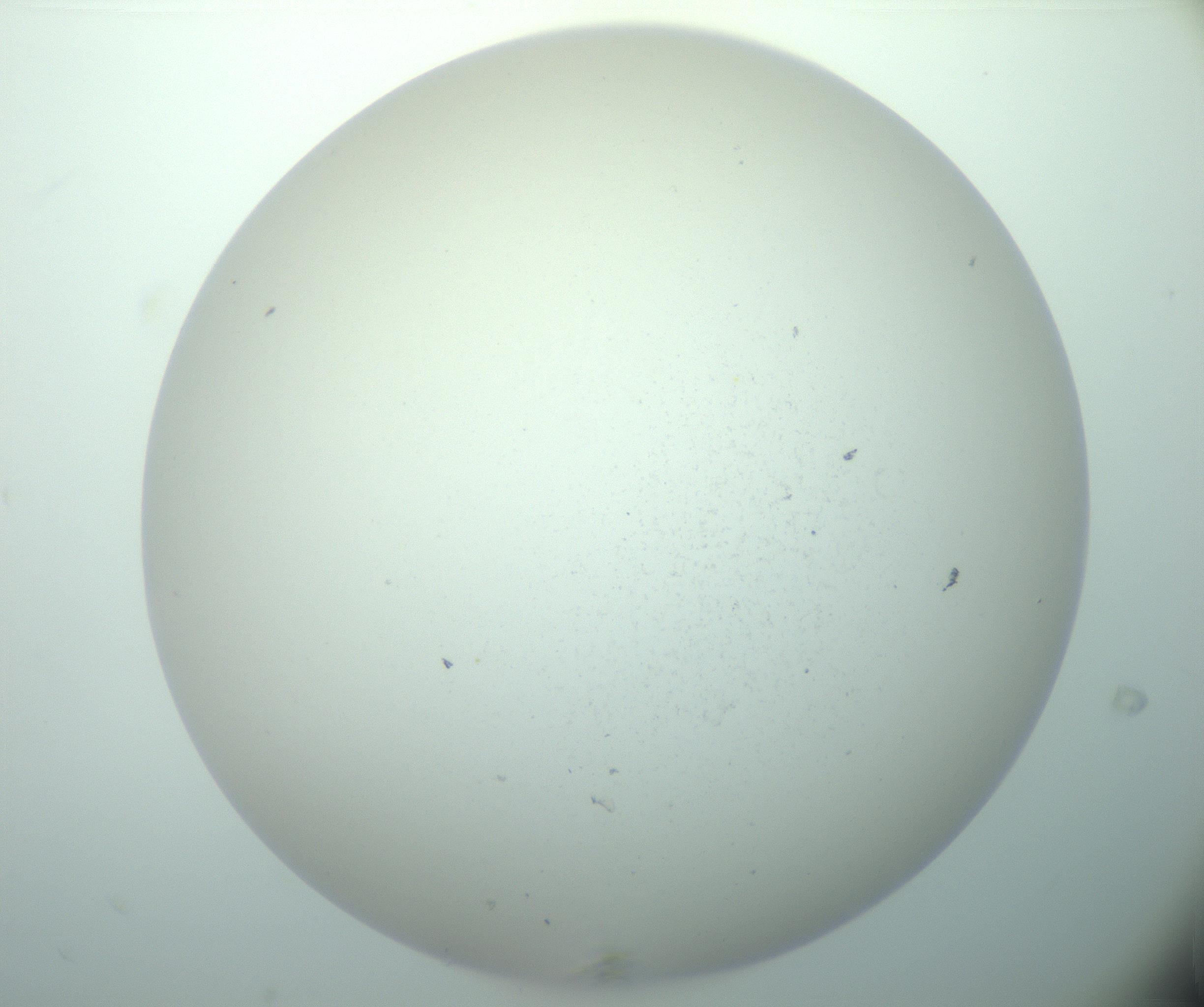 RI01_03_000_0212_Proj1_Clon1_MC_0000MC103015_002_161120_09_02_02_00_99_002_001_RAI.jpg