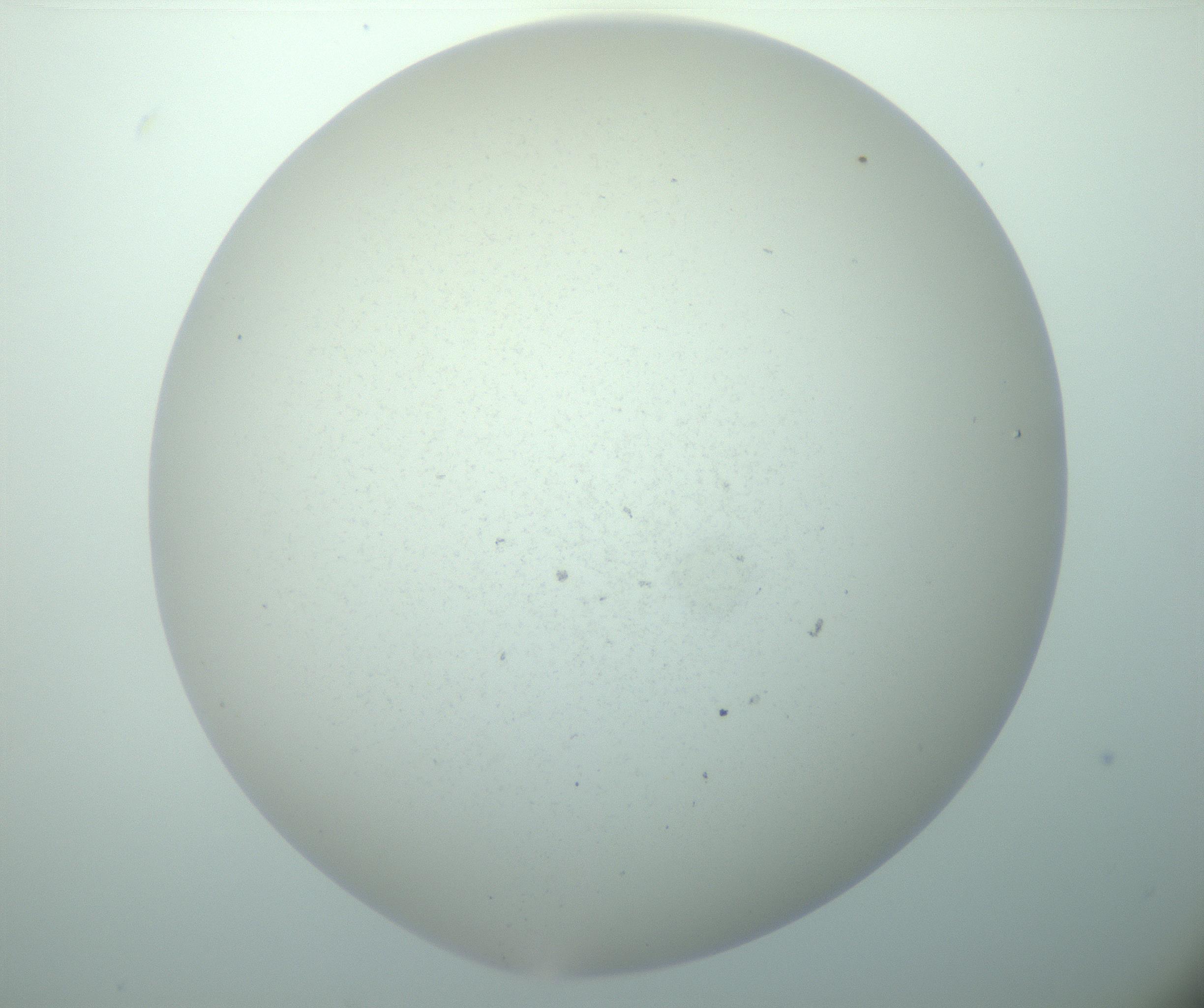 RI01_03_000_0212_Proj1_Clon1_MC_0000MC103015_002_161120_09_04_02_00_99_002_001_RAI.jpg