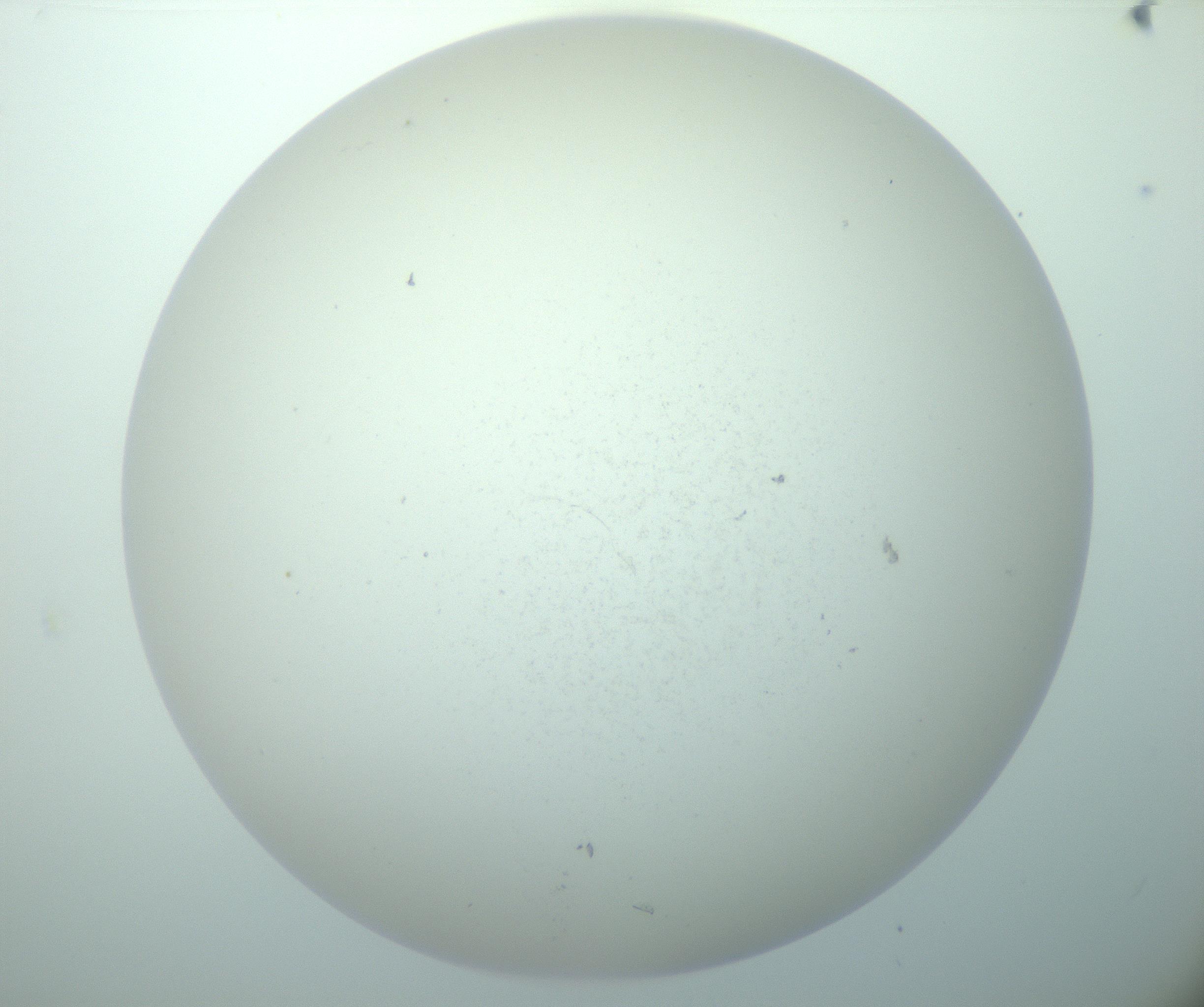 RI01_03_000_0212_Proj1_Clon1_MC_0000MC103015_002_161120_09_05_02_00_99_002_001_RAI.jpg